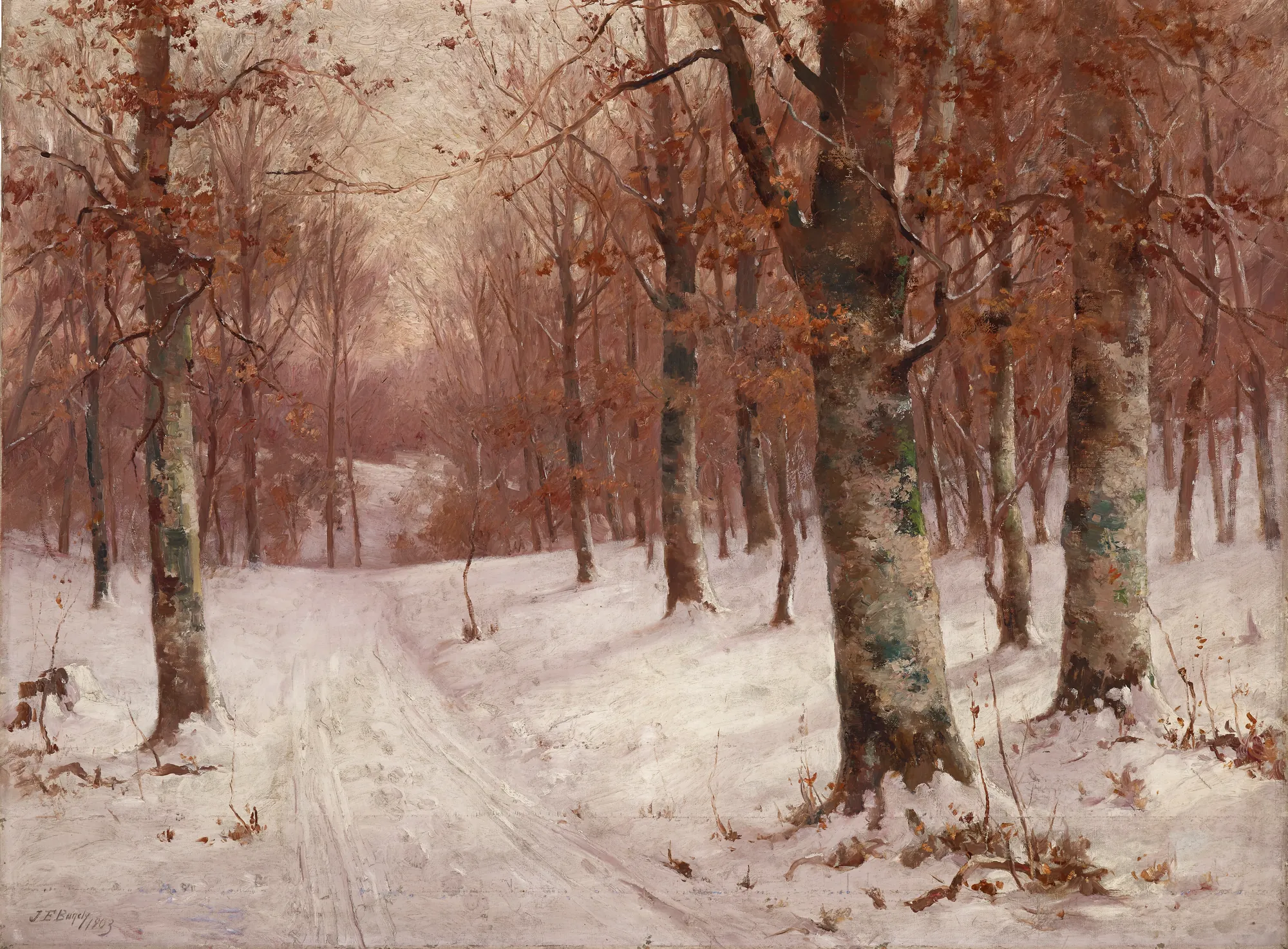 Woods in Winter