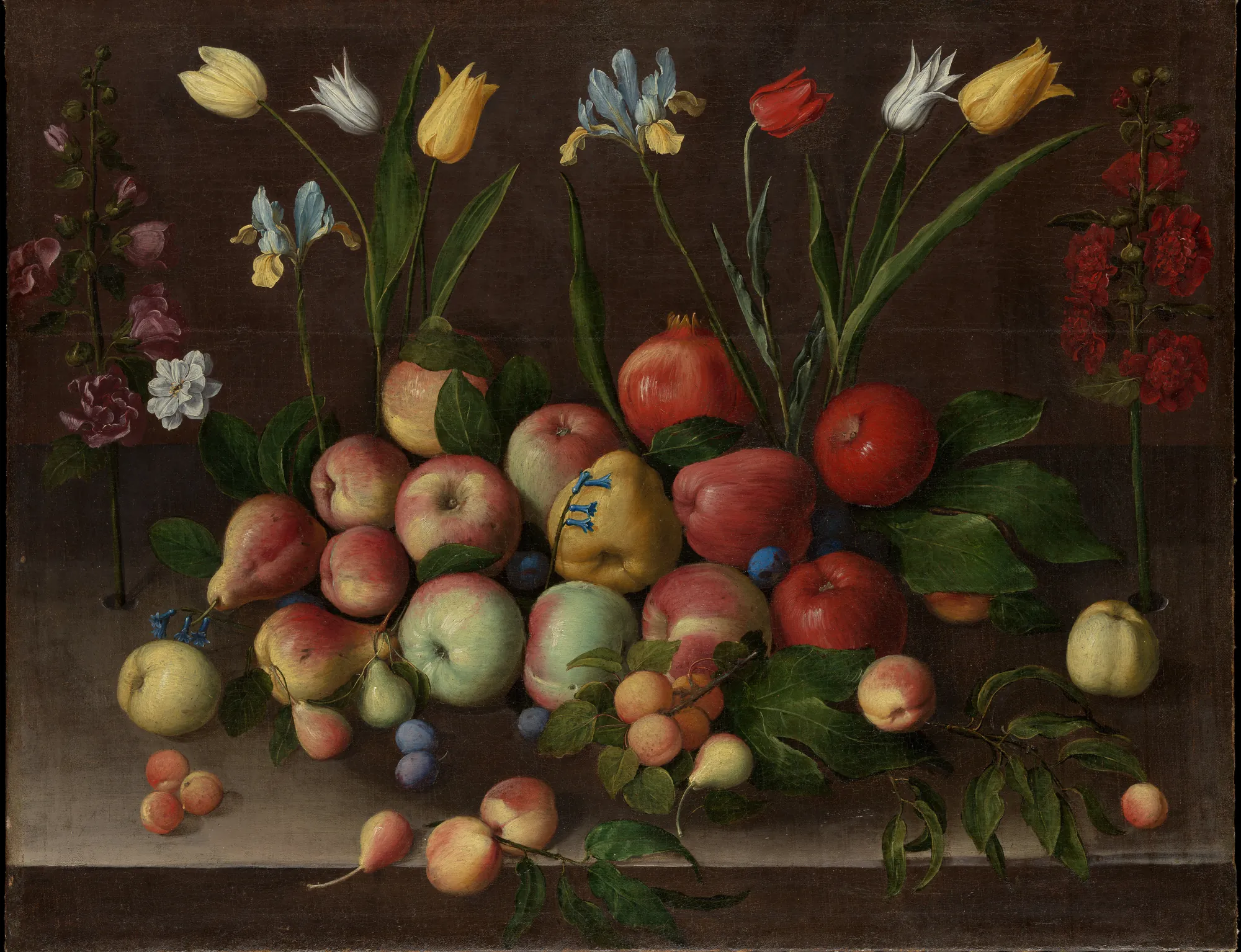 Fruit and Flowers Fruit and Flowers by Orsola Maddalena Caccia. An abundant arrangement of various fruits including apples, pears, and pomegranates on a stone ledge, flanked by tall flowering stems of tulips and irises against a dark background.