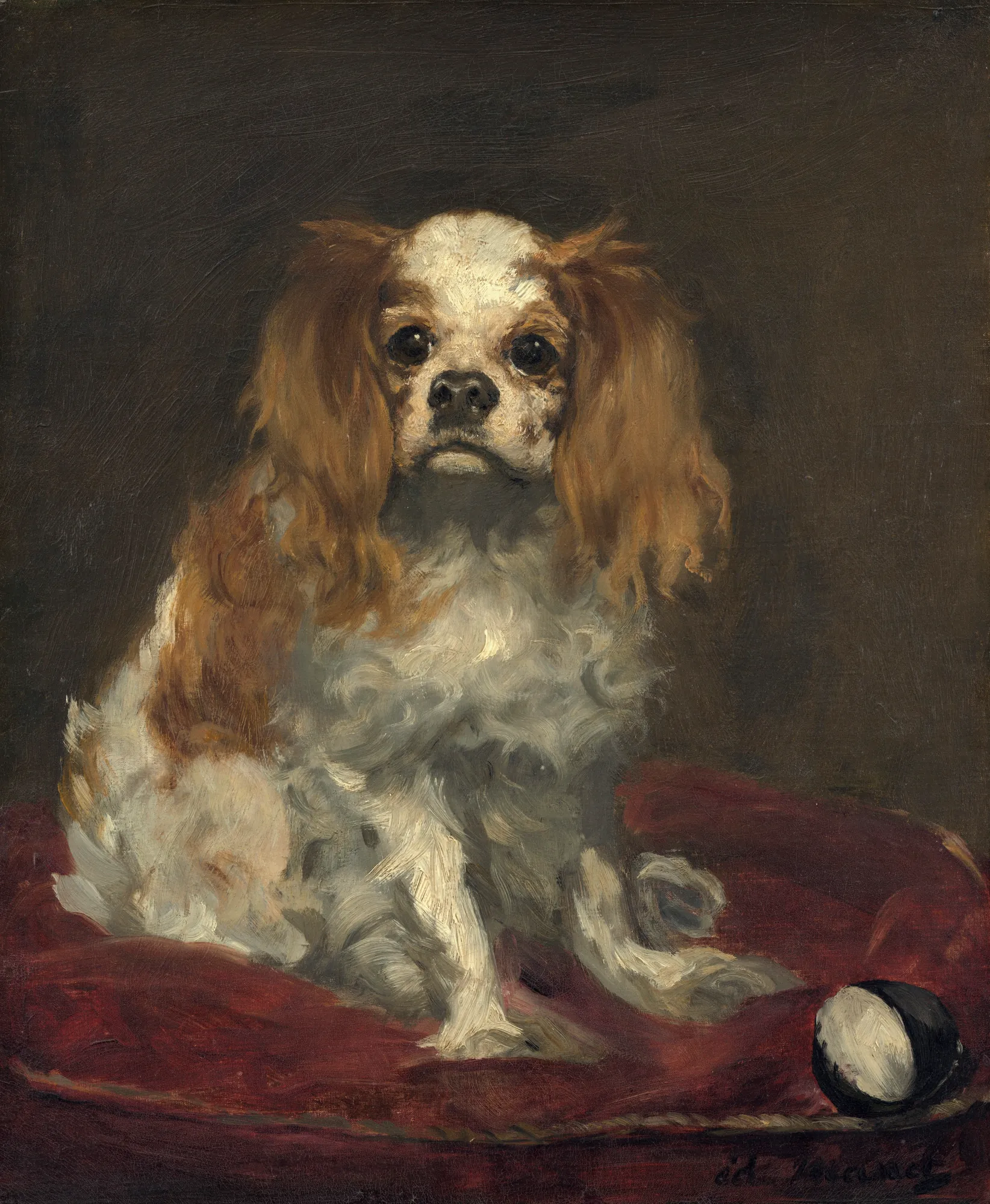 A King Charles Spaniel A King Charles Spaniel by Édouard Manet. A brown and white King Charles Spaniel sits on a plush red cushion next to a small ball against a dark, neutral background.