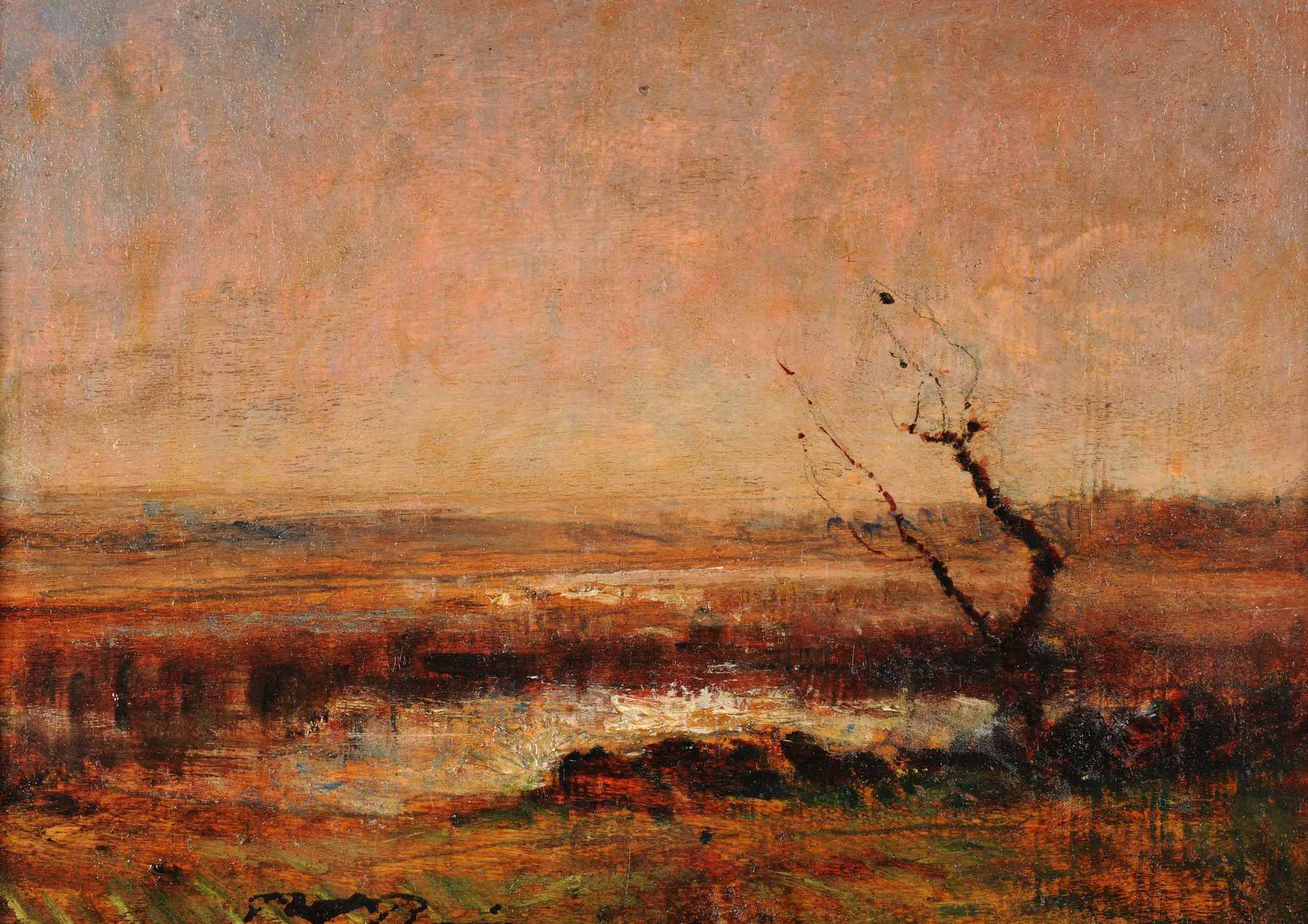 Landscape Study