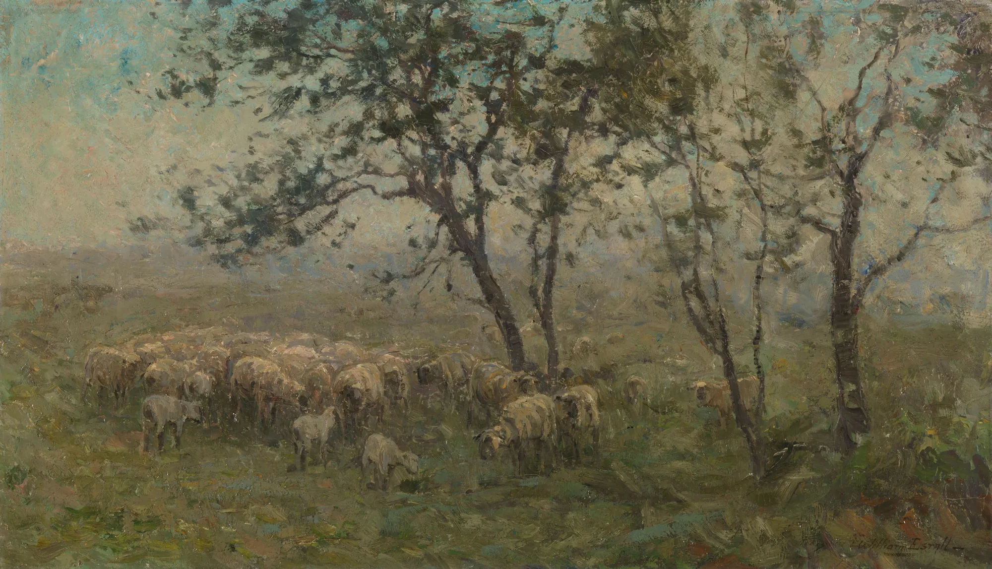 A Flock of Sheep