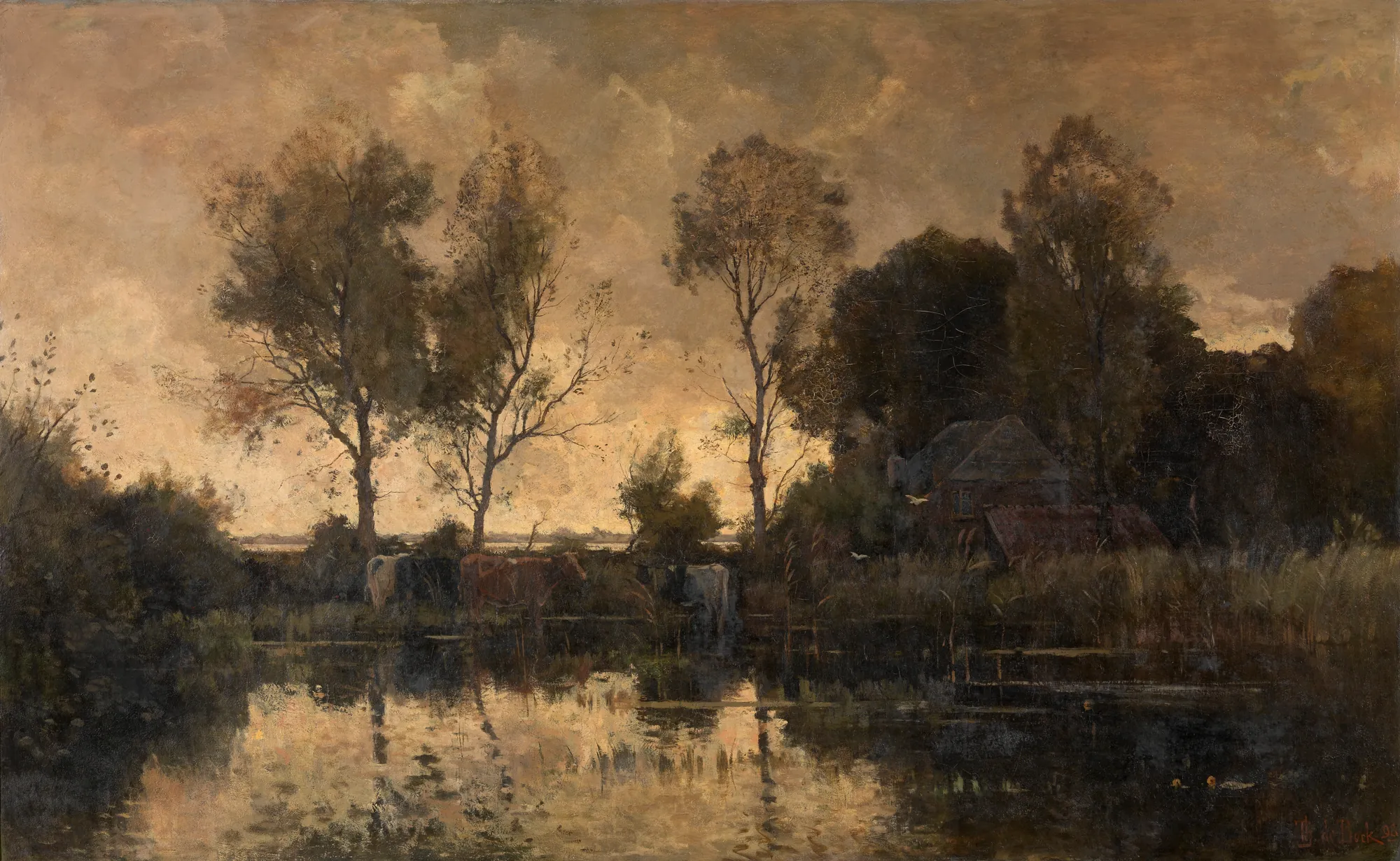 Evening