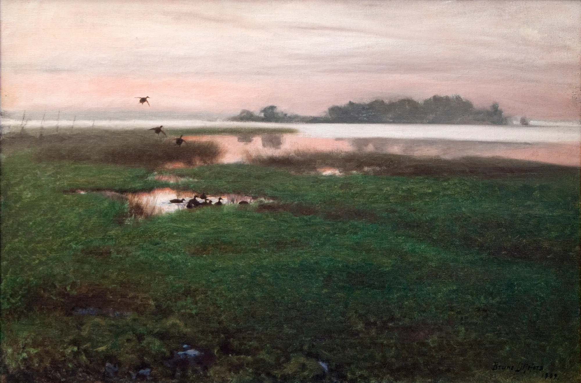 Evening Landscape