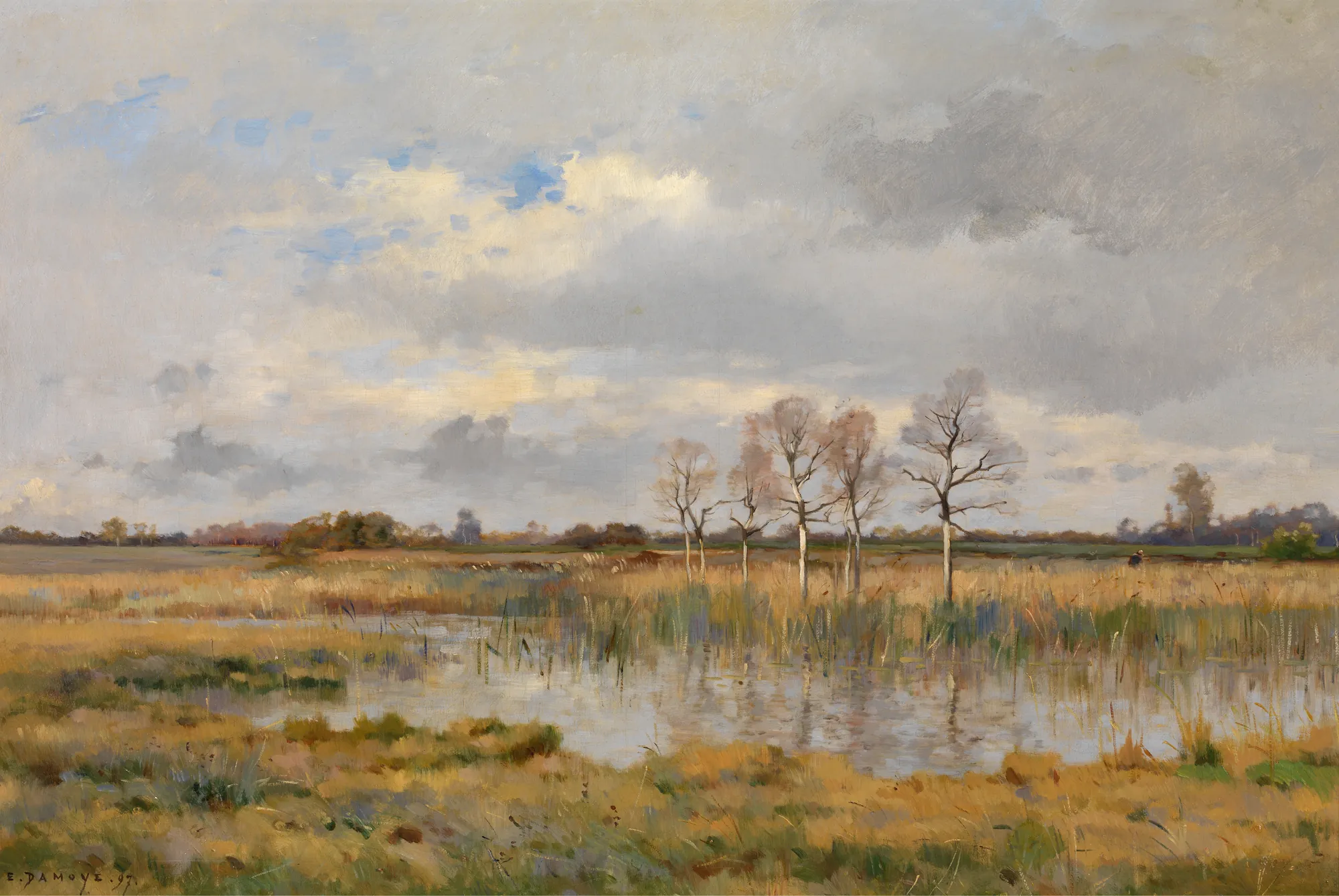 Marsh