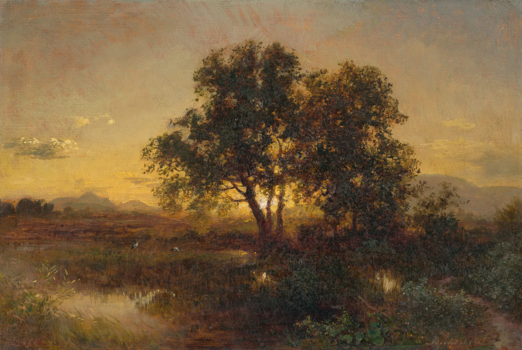Early Evening Landscape