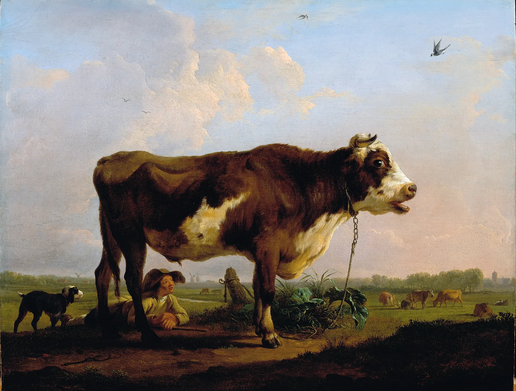 A Bull