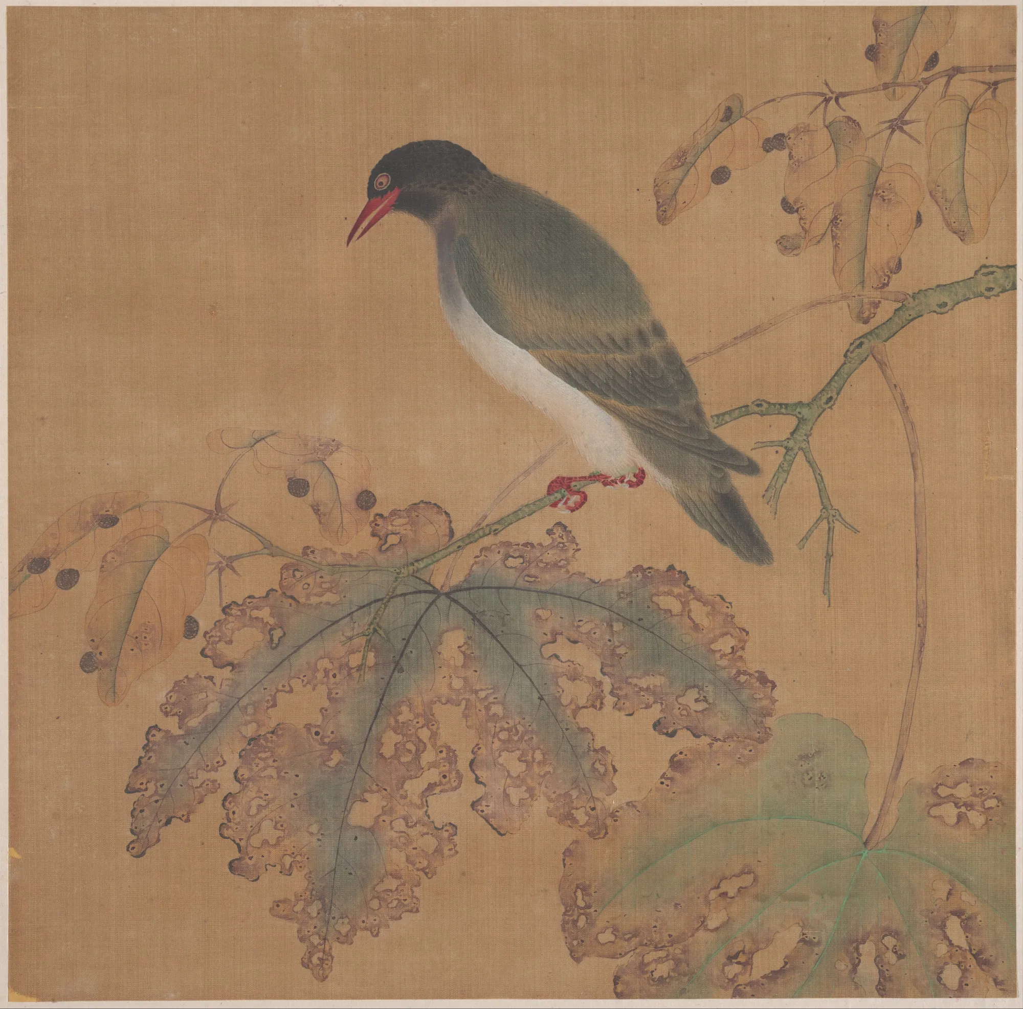 Bird on a Branch