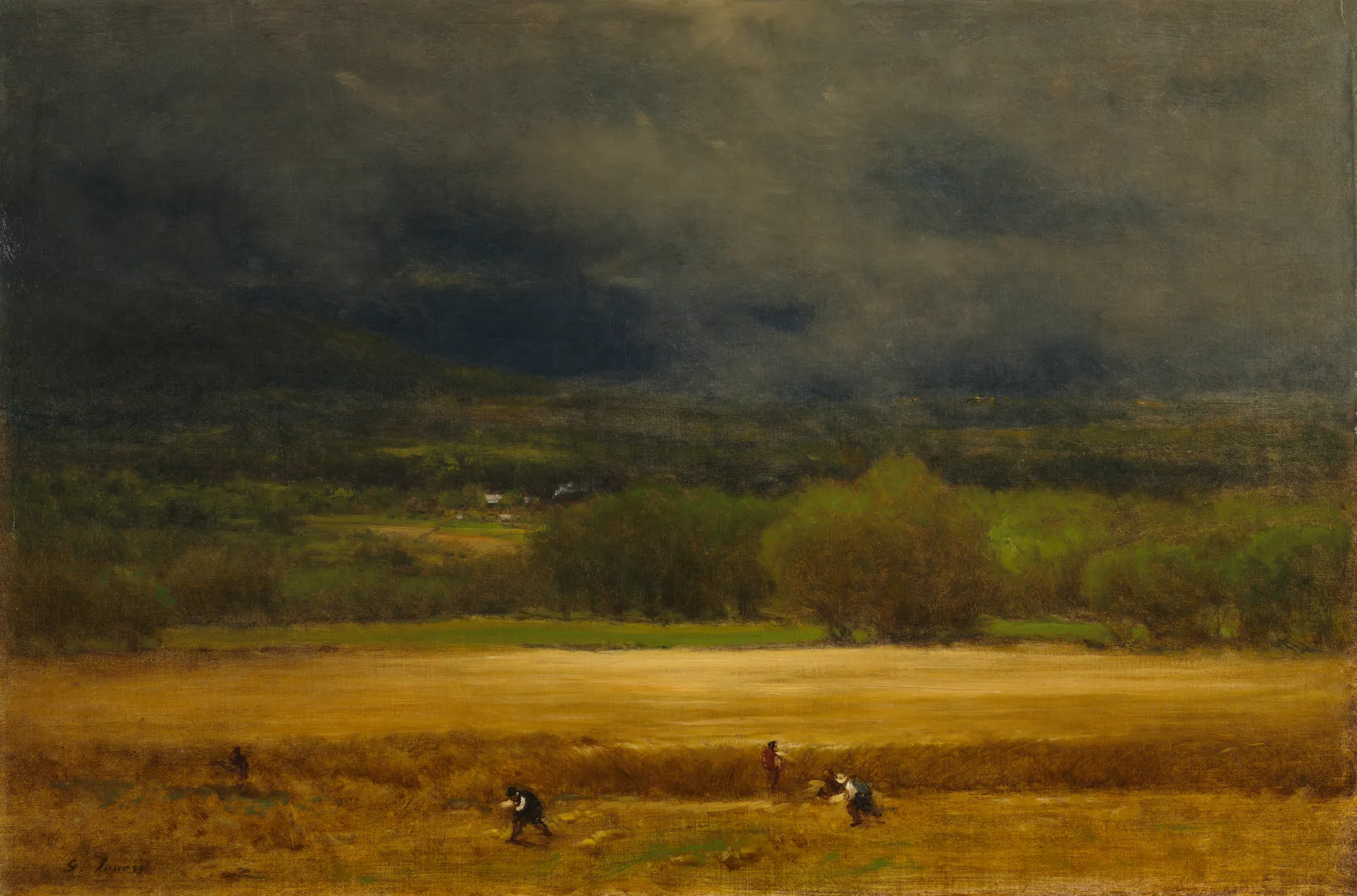 The Wheat Field