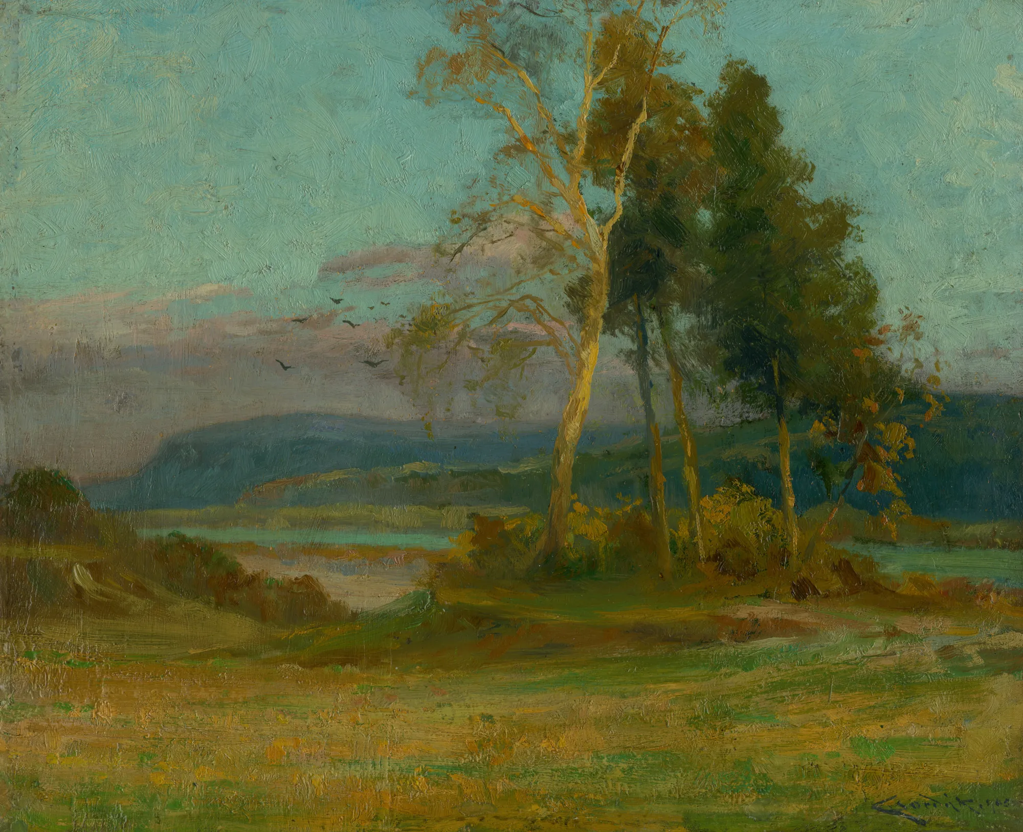 Landscape near Turňa