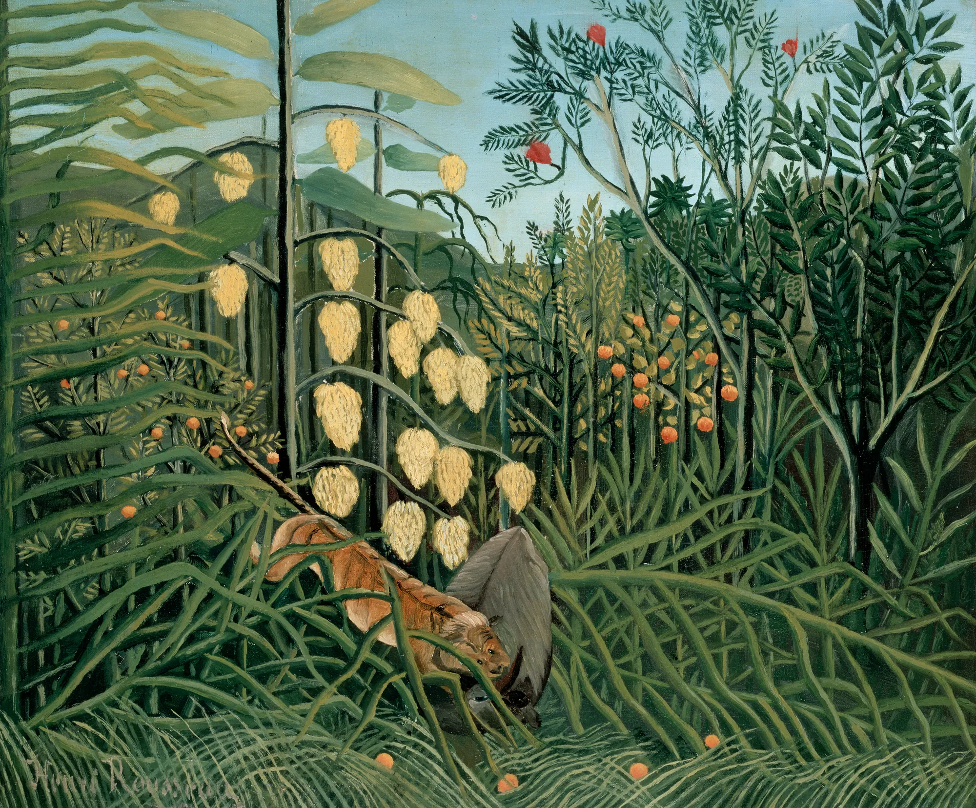 In a Tropical Forest: Struggle between Tiger and Bull