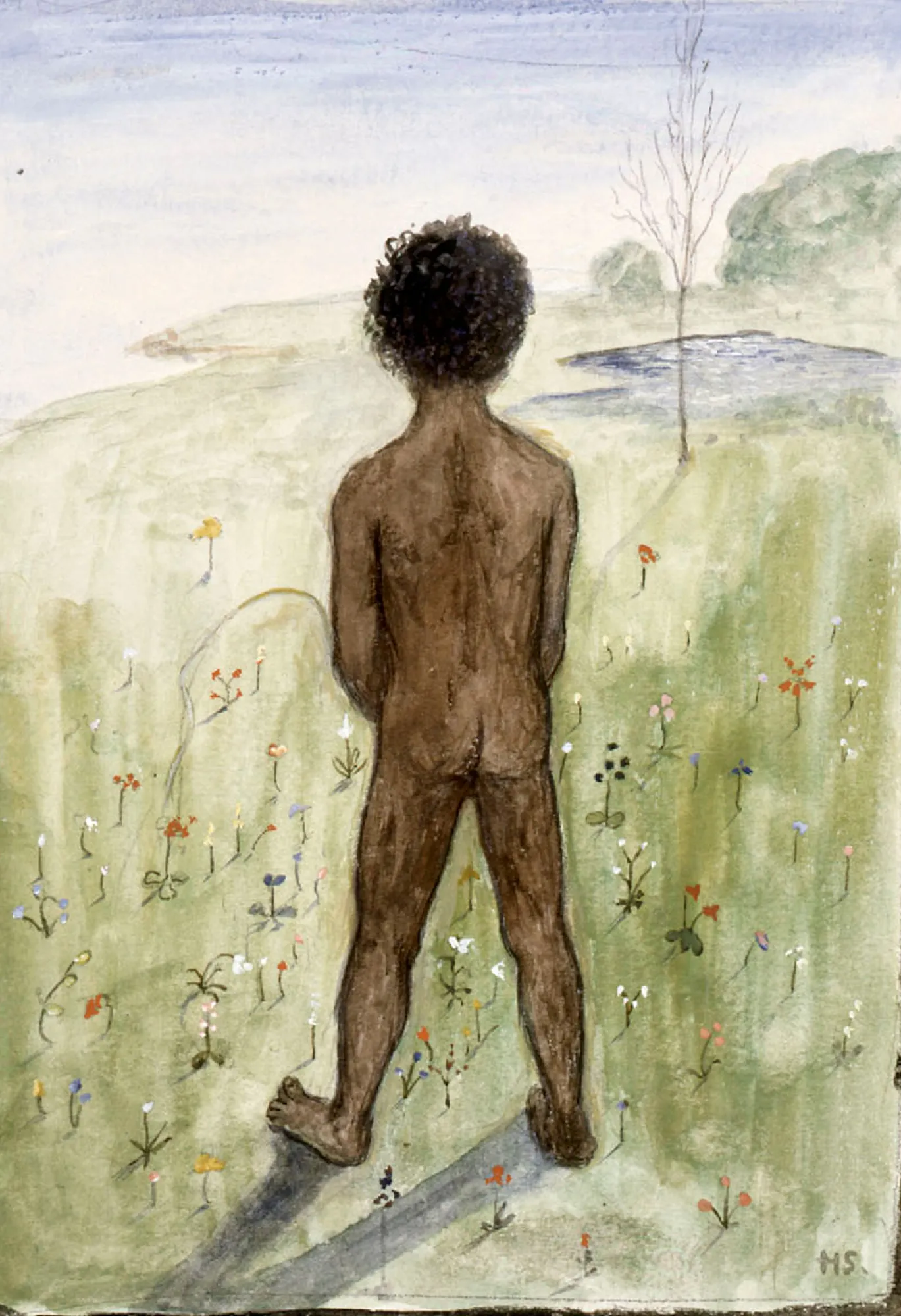 Black Boy on the Meadow
