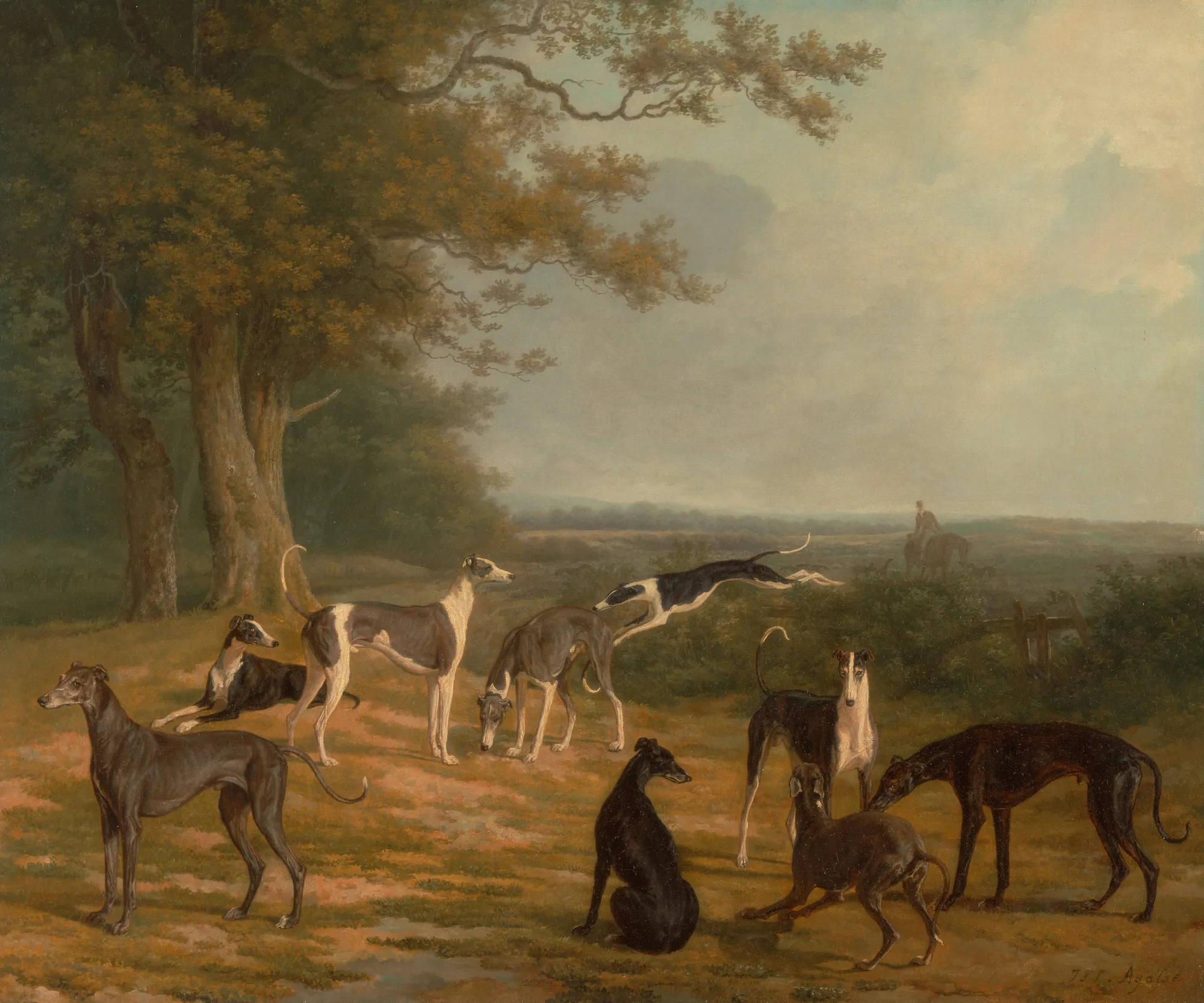 Nine Greyhounds in a Landscape
