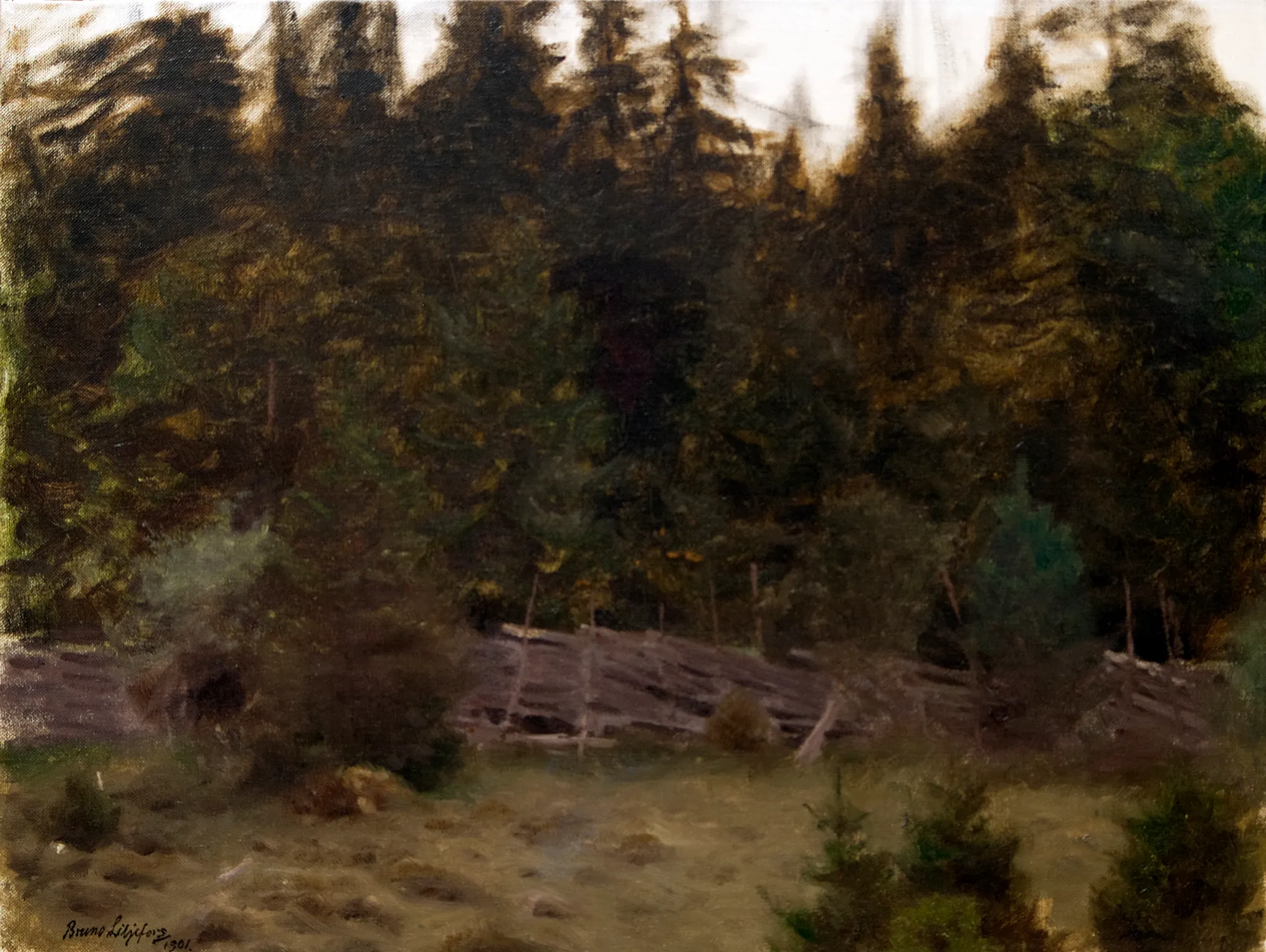 Landscape Study