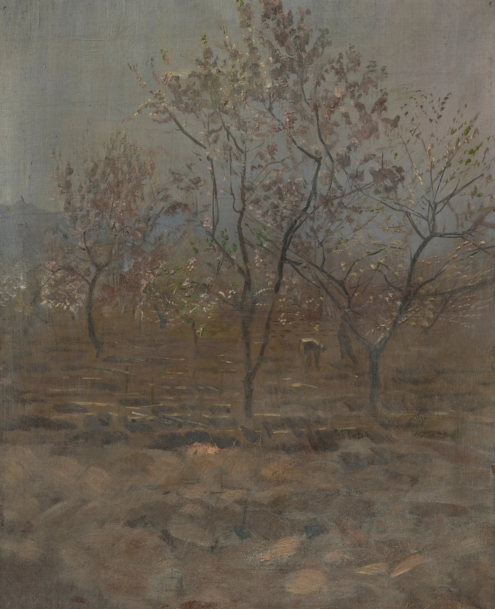 Trees in Blossom Trees in Blossom by László Mednyánszky. An impressionistic landscape featuring trees with delicate pink blossoms against a muted, overcast sky.