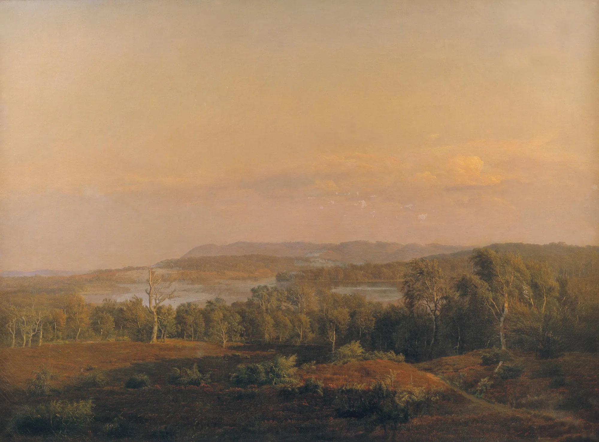 A View towards Himmelbjerget, Jutland