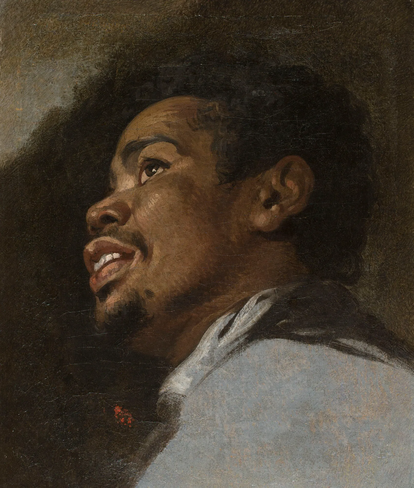 The Head of a Young Moor