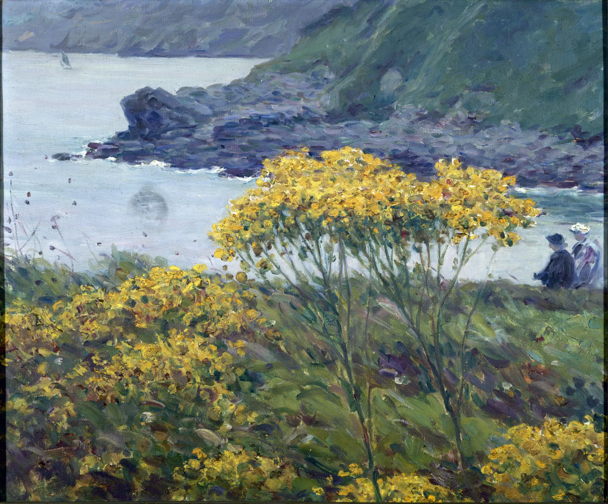 Ombelle jaune