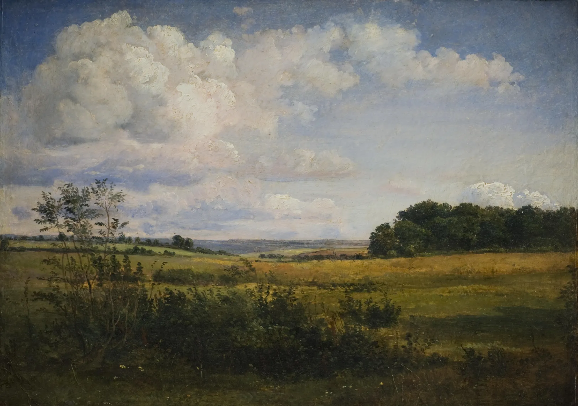 Landscape with Sunlit Clouds