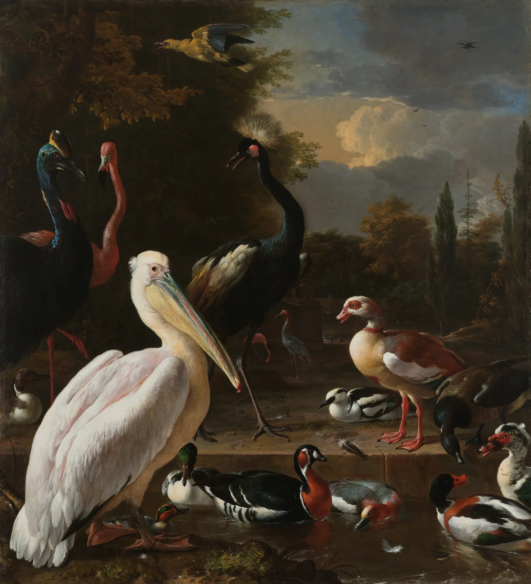 The Floating Feather