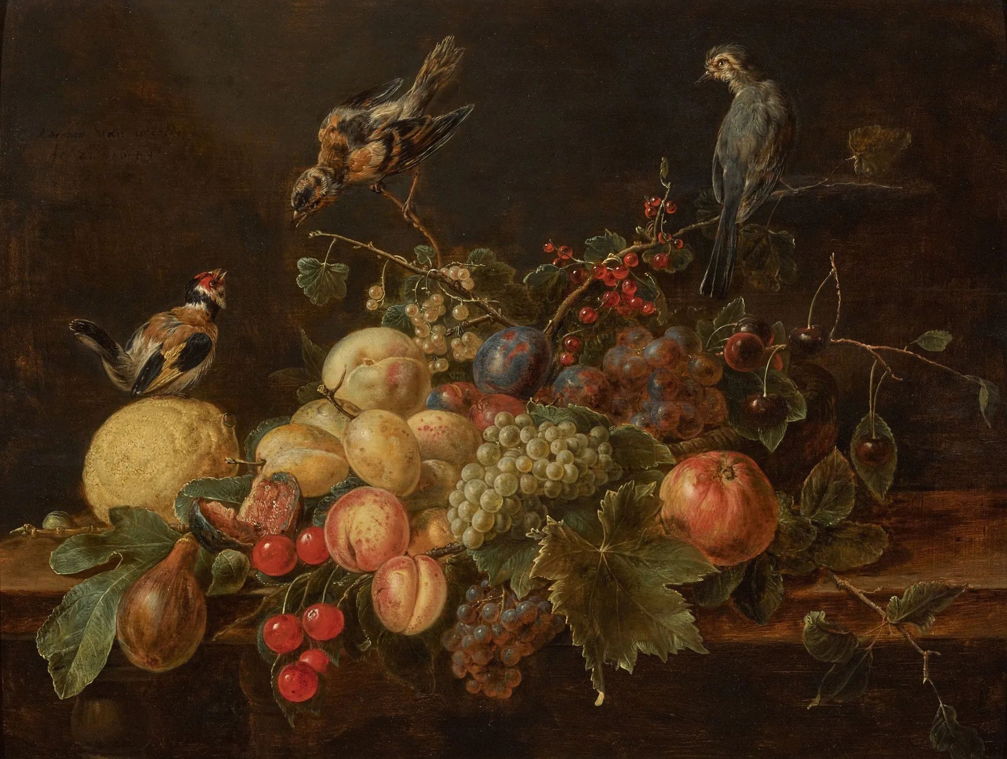 Still Life with Fruit and Three Birds