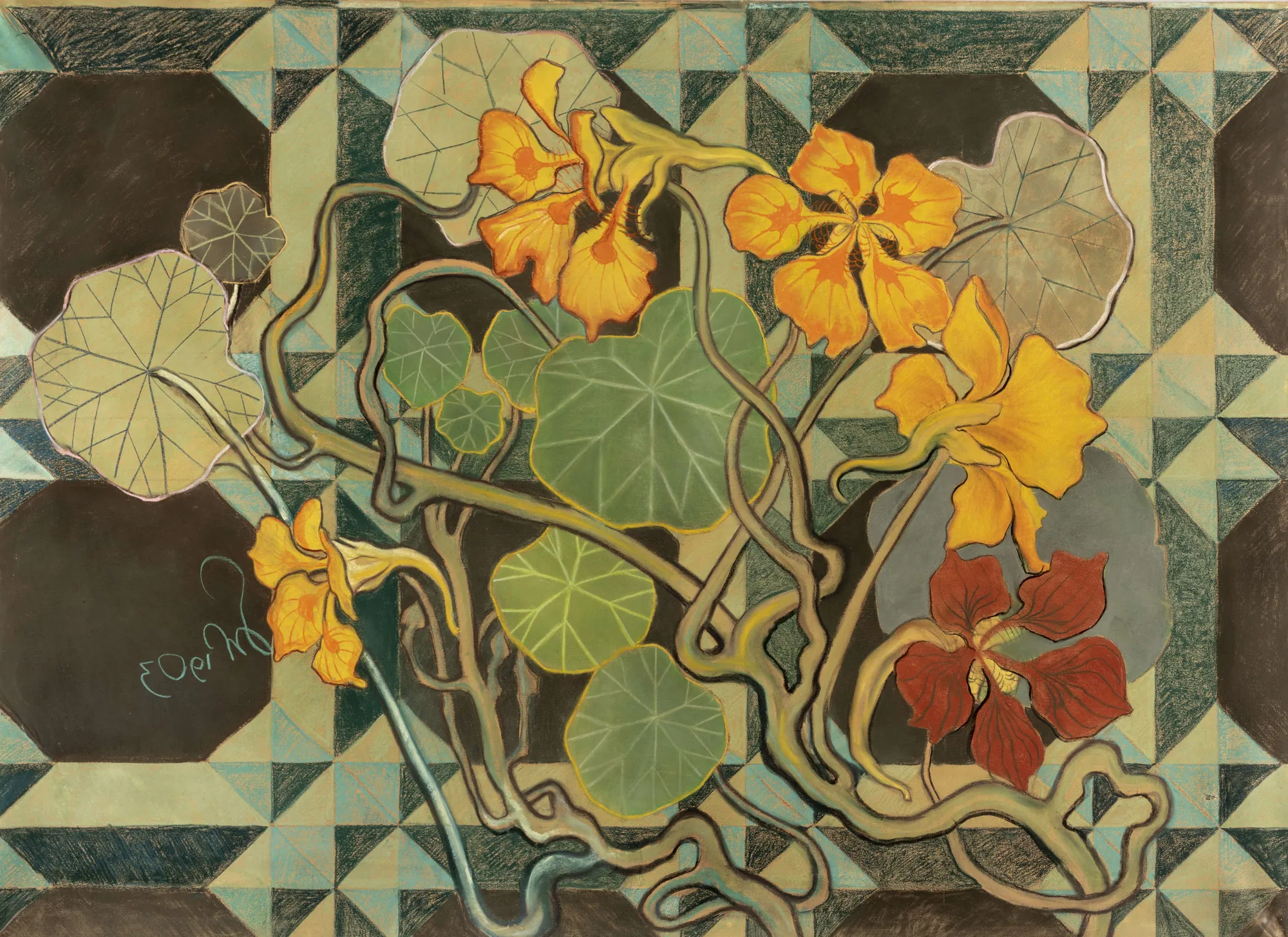 Nasturtiums
