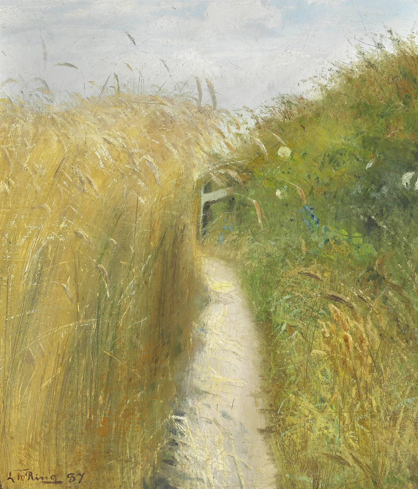 Along the Rye Field