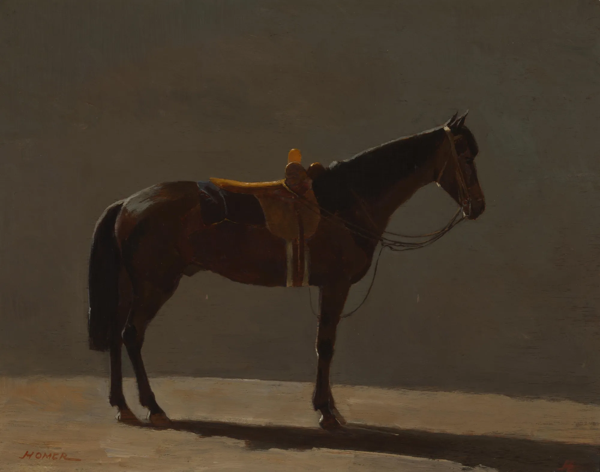 Saddle Horse