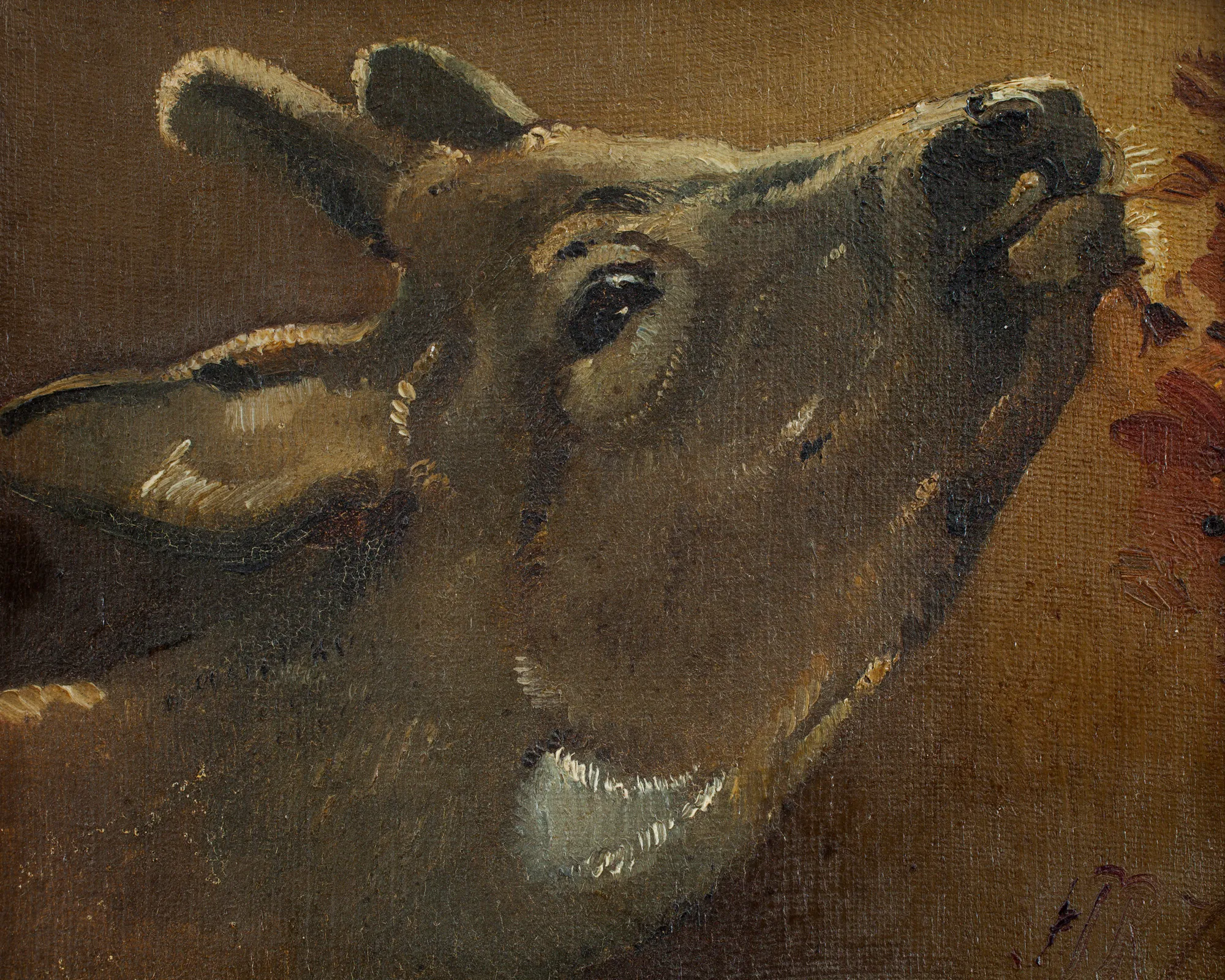 Study of a Deer Study of a Deer by Holger Roed. A close-up oil study of a deer's head tilted upward toward a branch of leaves.