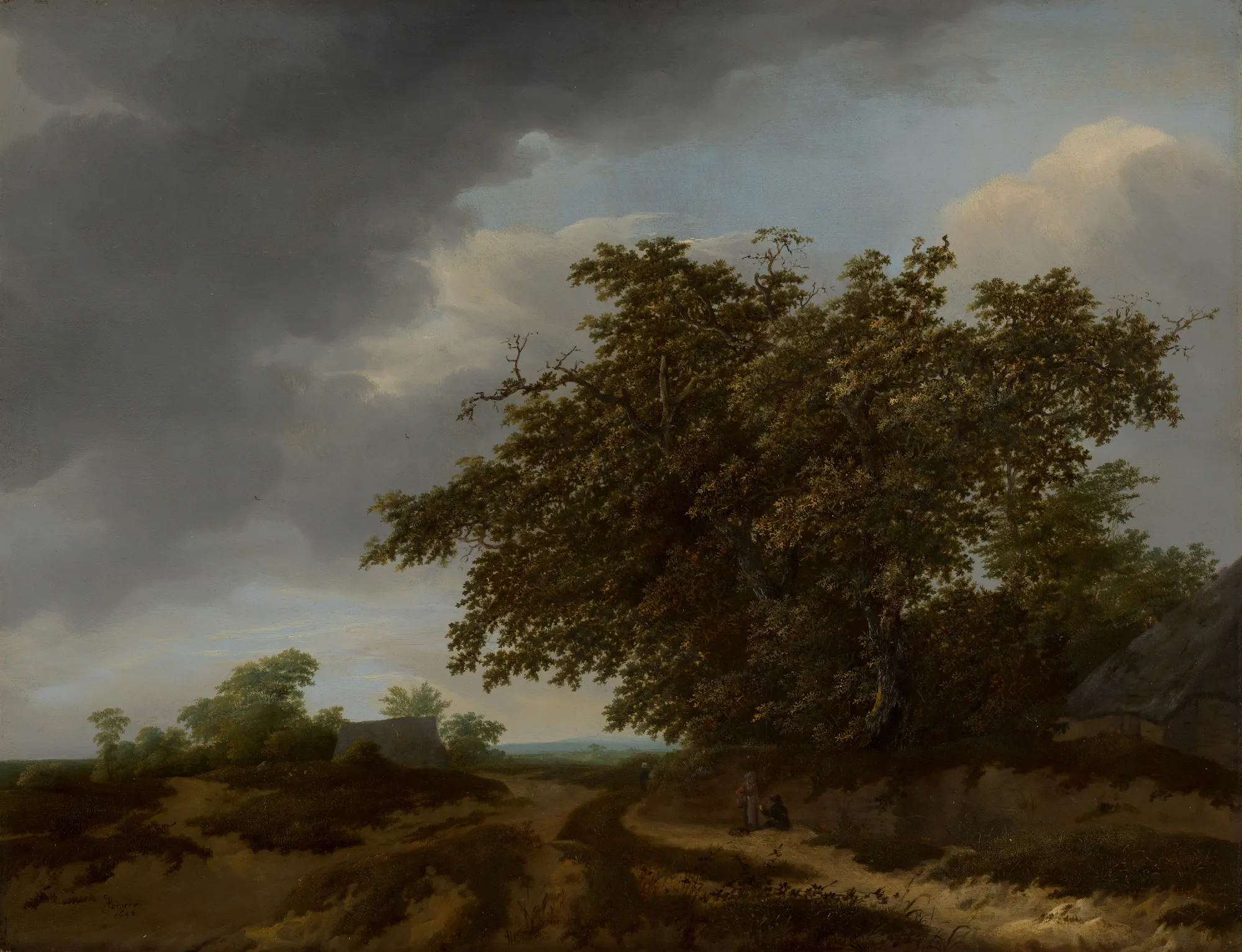 Landscape on the Edge of the Dunes