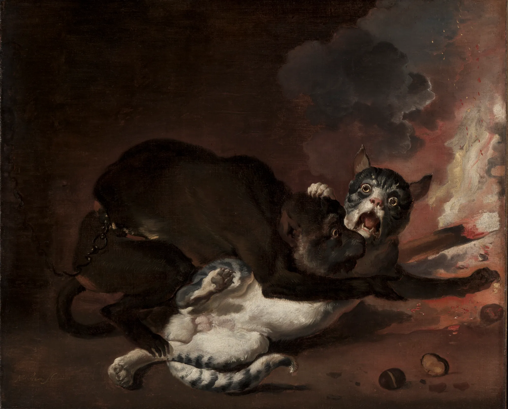 The Monkey and the Cat