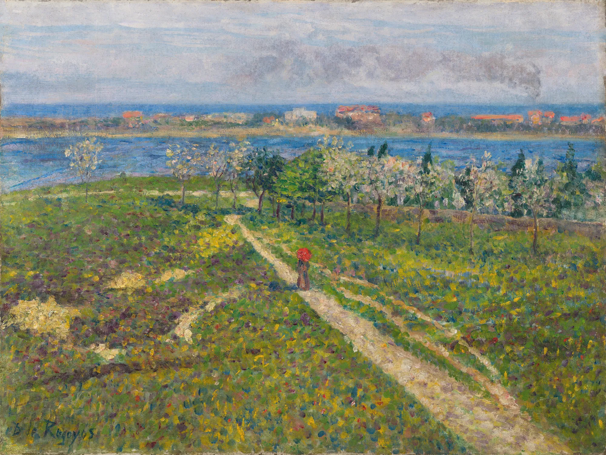 Almond Trees in Blossom