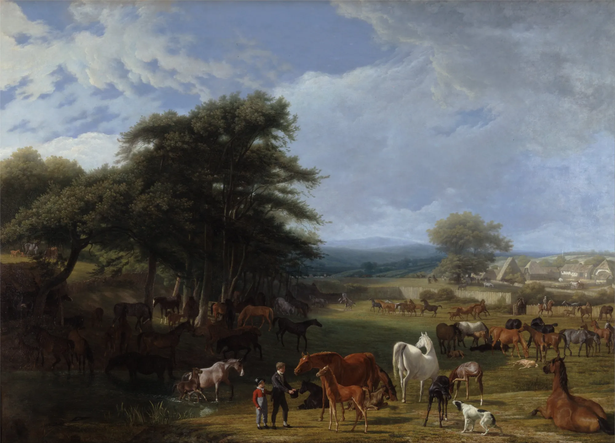 Lord Rivers's Stud Farm, Stratfield Saye