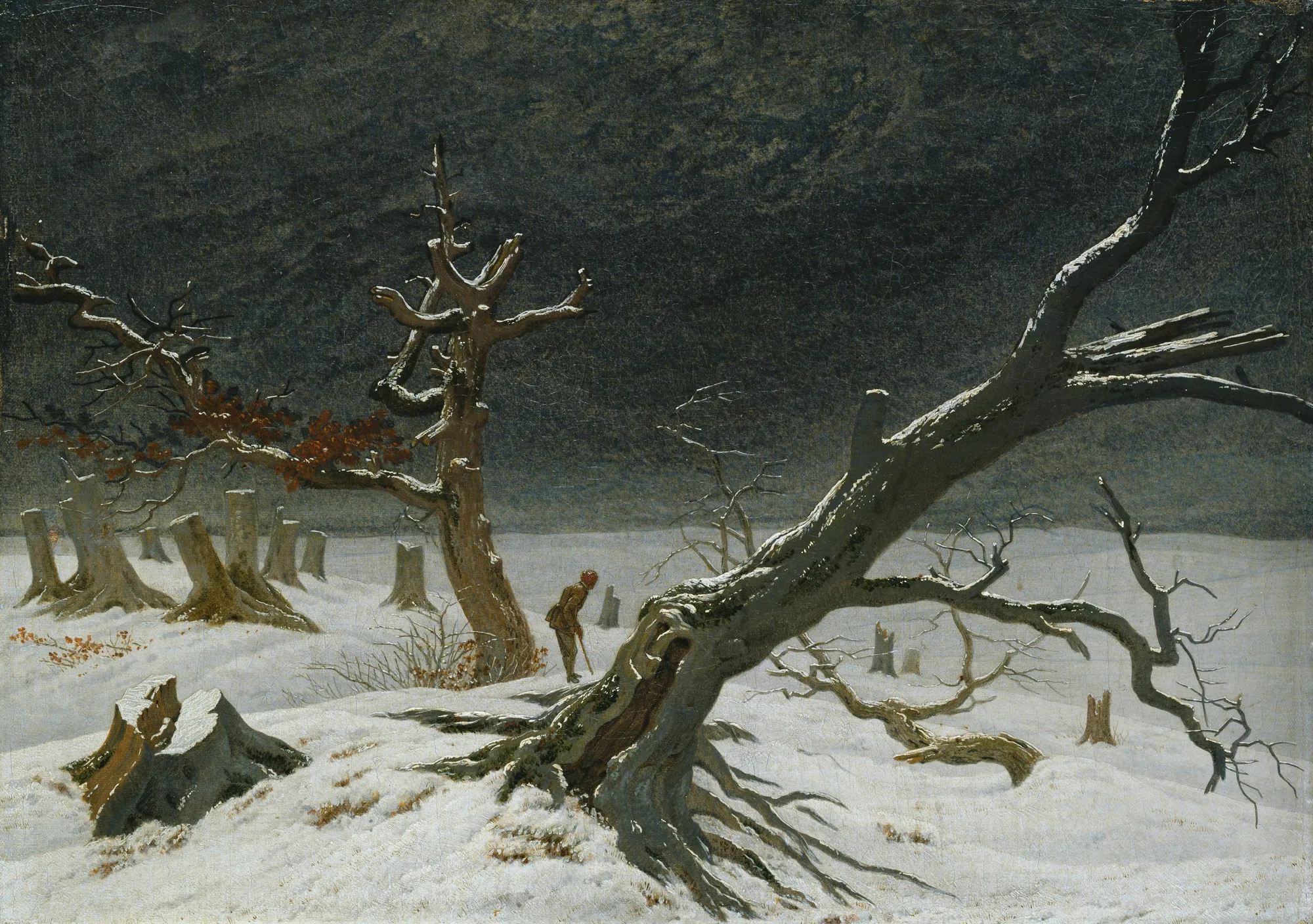 Winter Landscape