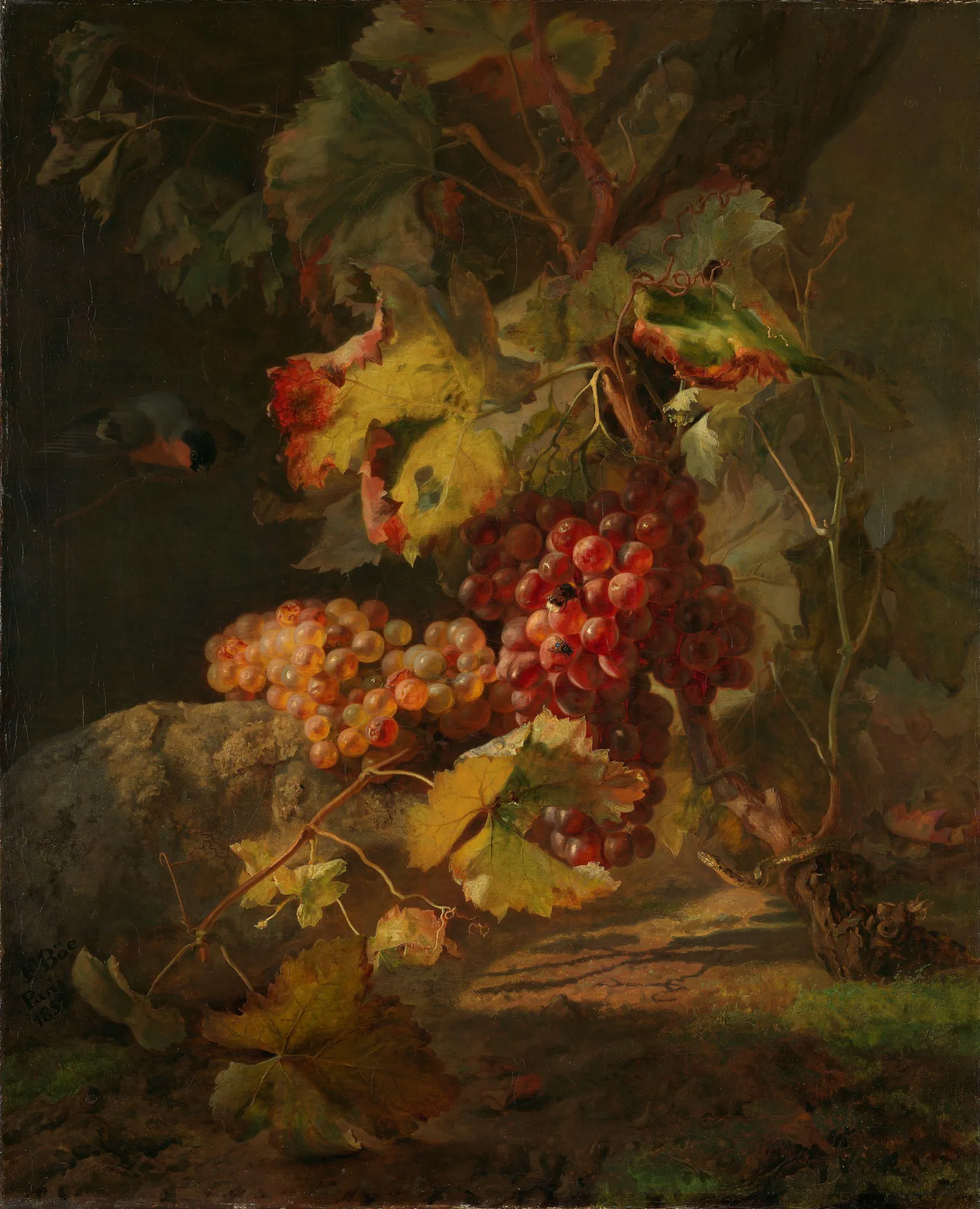 Still Life with Grapes Still Life with Grapes by Frants Diderik Bøe. A detailed still life featuring clusters of red and green grapes hanging from a vine with autumn-toned leaves, set against a dark, atmospheric background with a small bird.