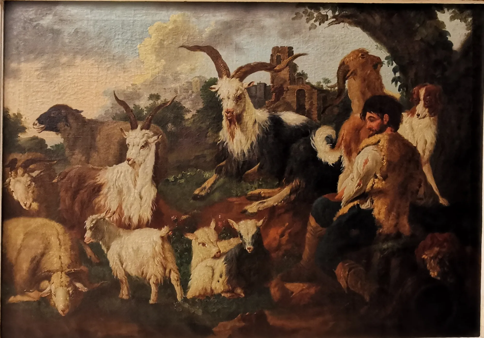 Shepherd with Goat Herd