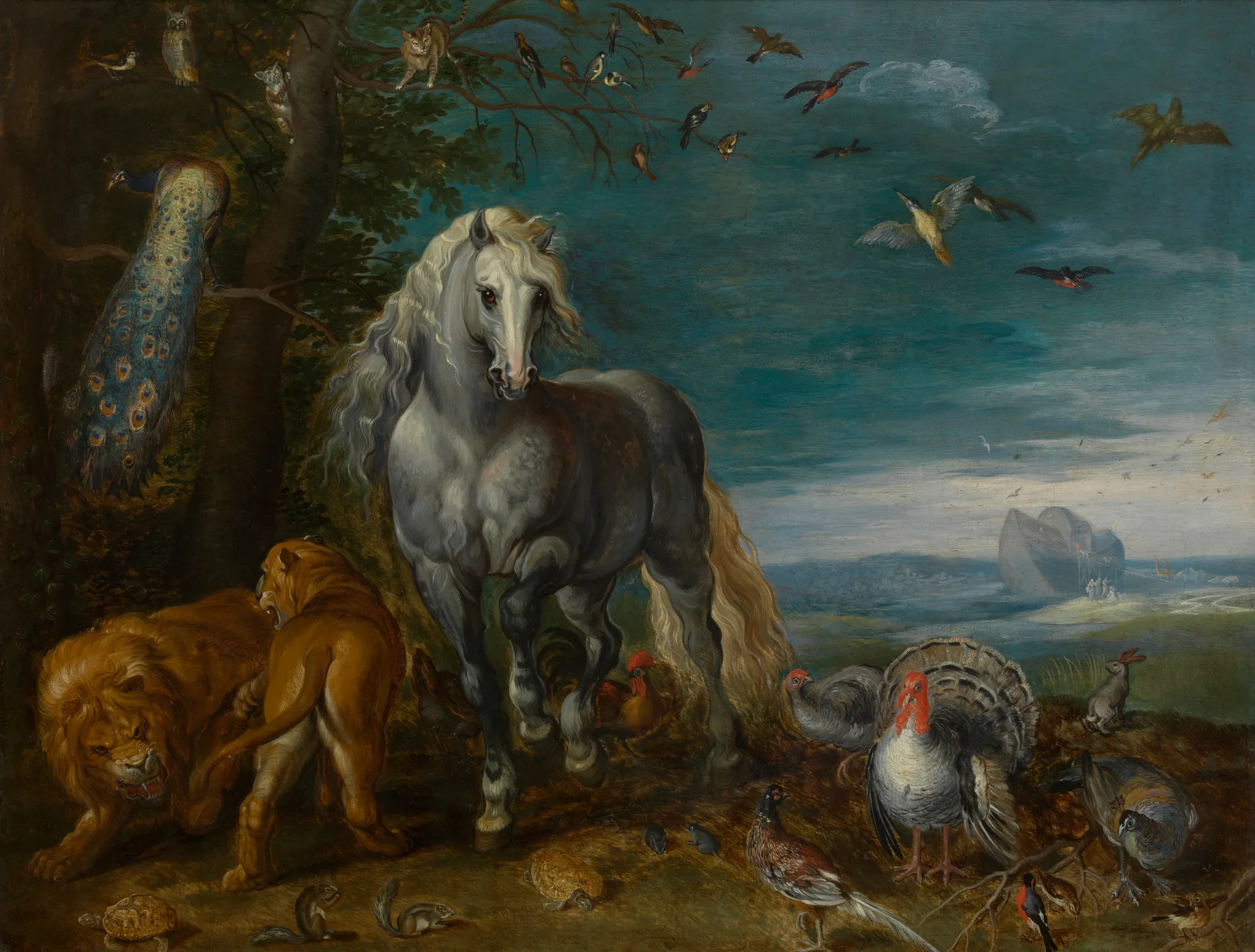 Noah's Ark