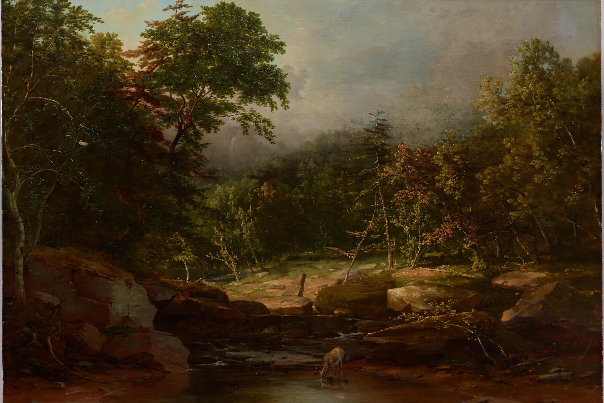 Stream in the Mountains