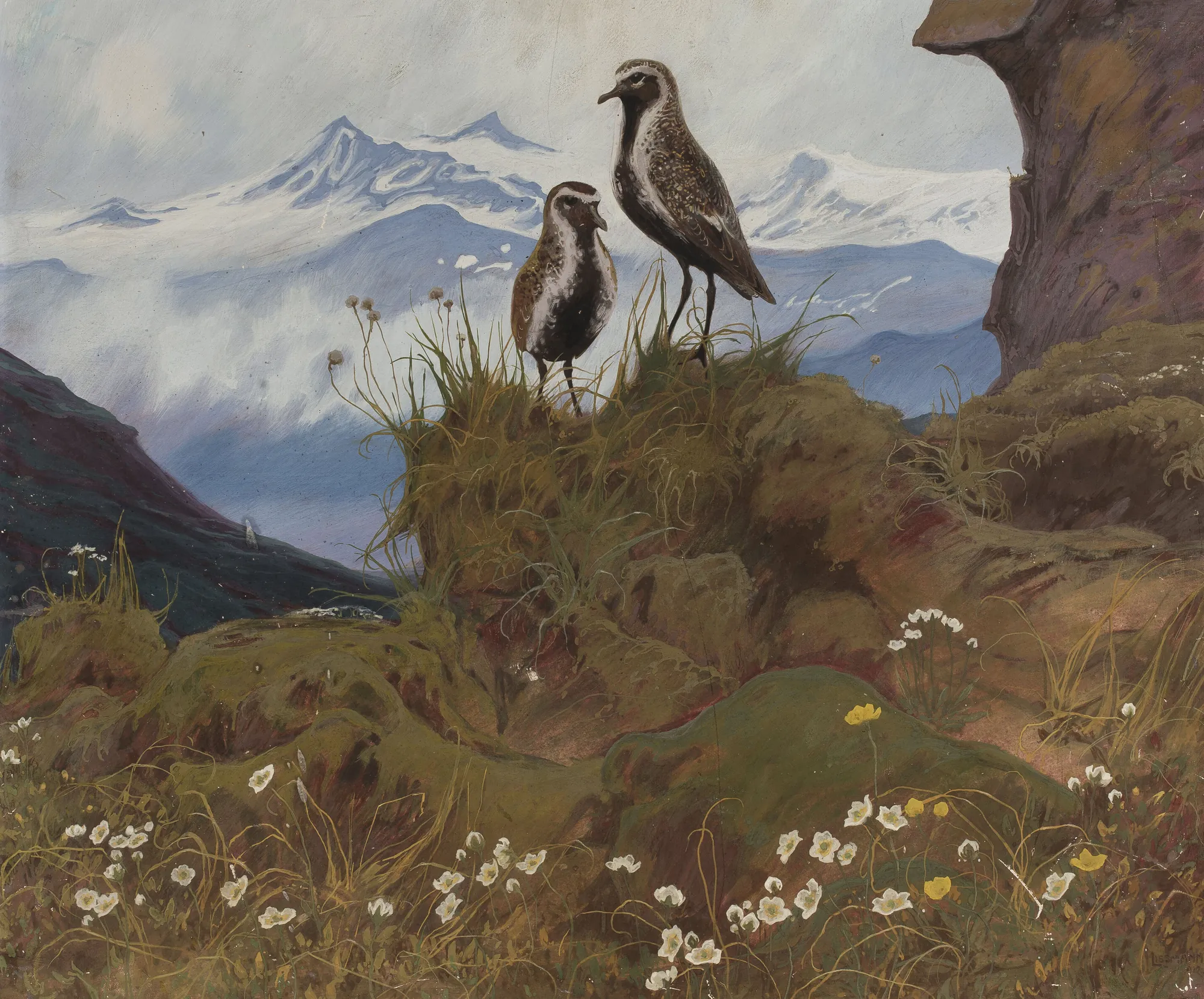 Birds in a Mountain Landscape