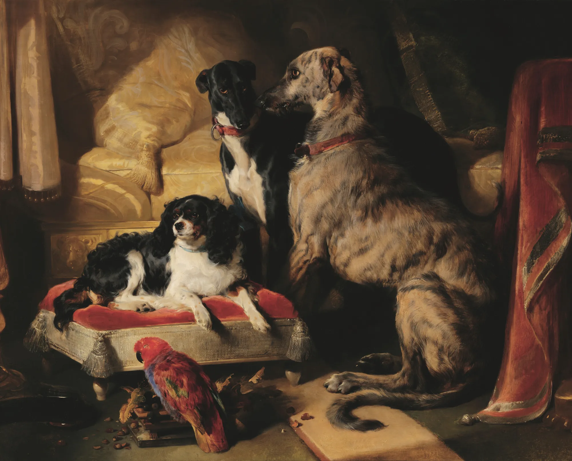 Hector, Nero, and Dash with Lory
