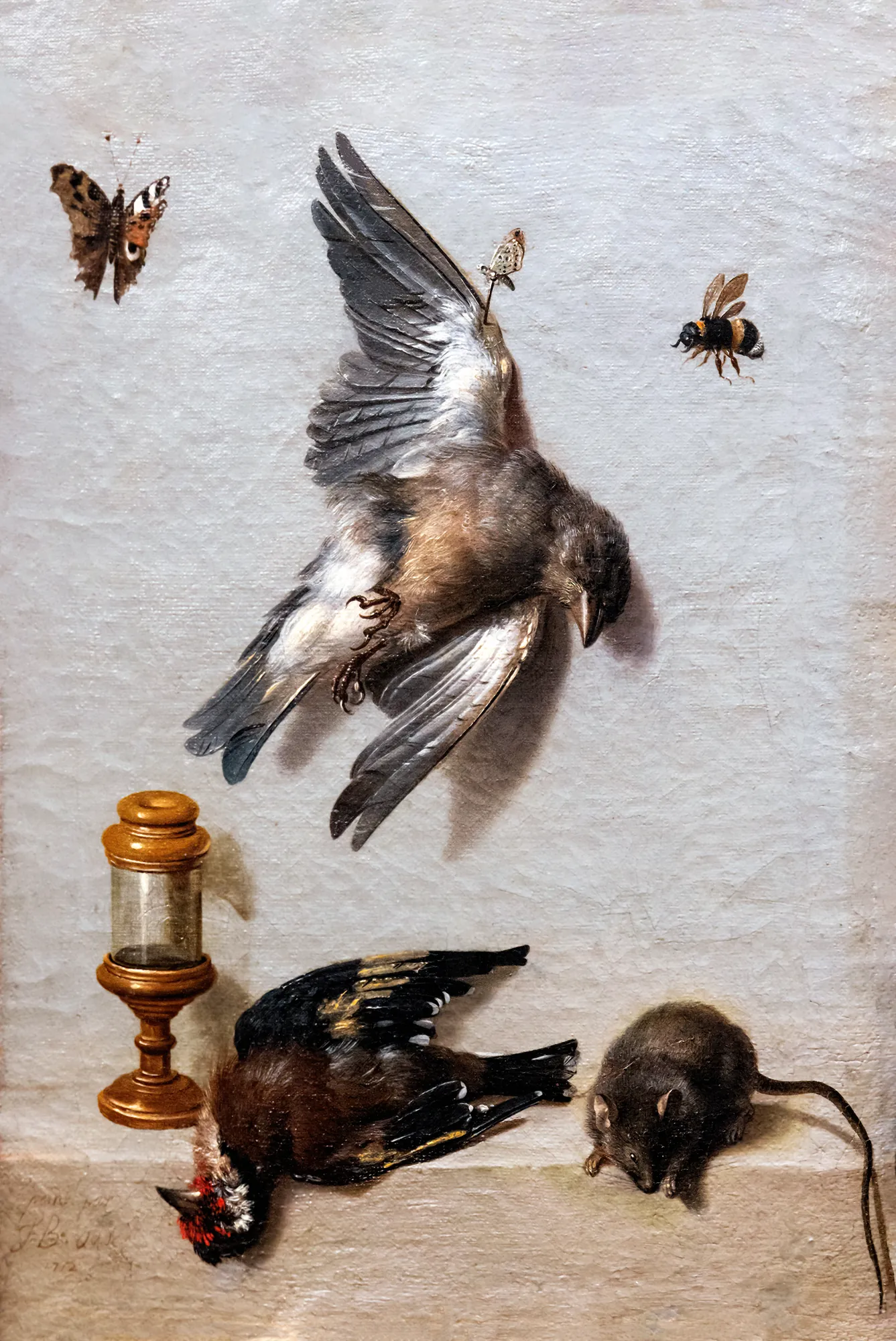Still Life with Two Dead Birds, a Mouse, and Three Insects