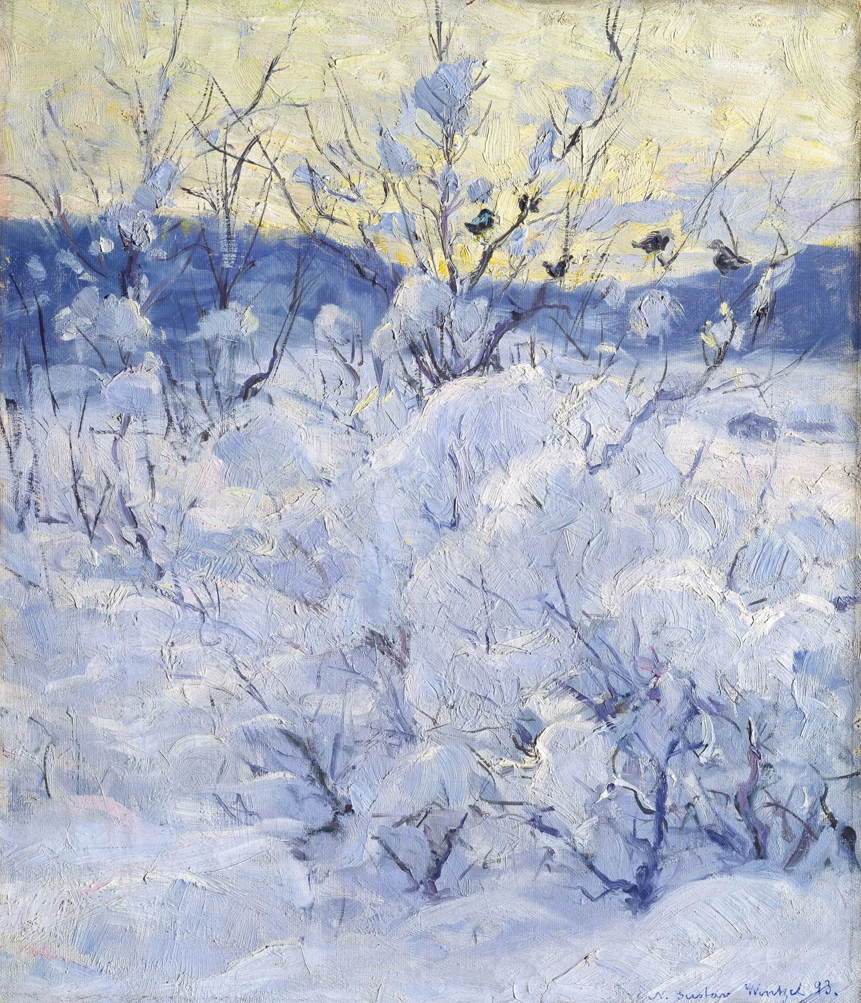 Winter Evening
