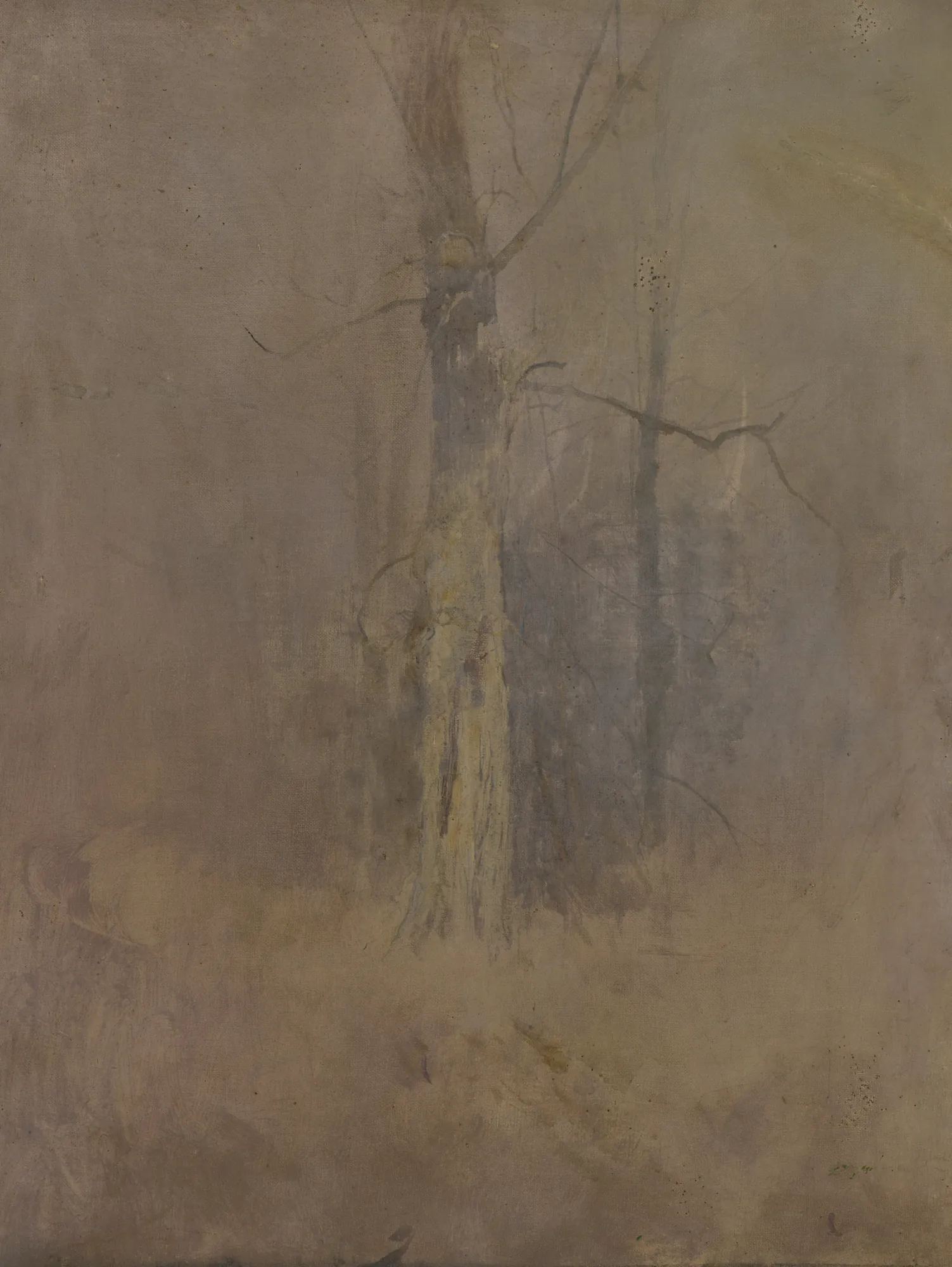 Grey Mood with a Dry Tree