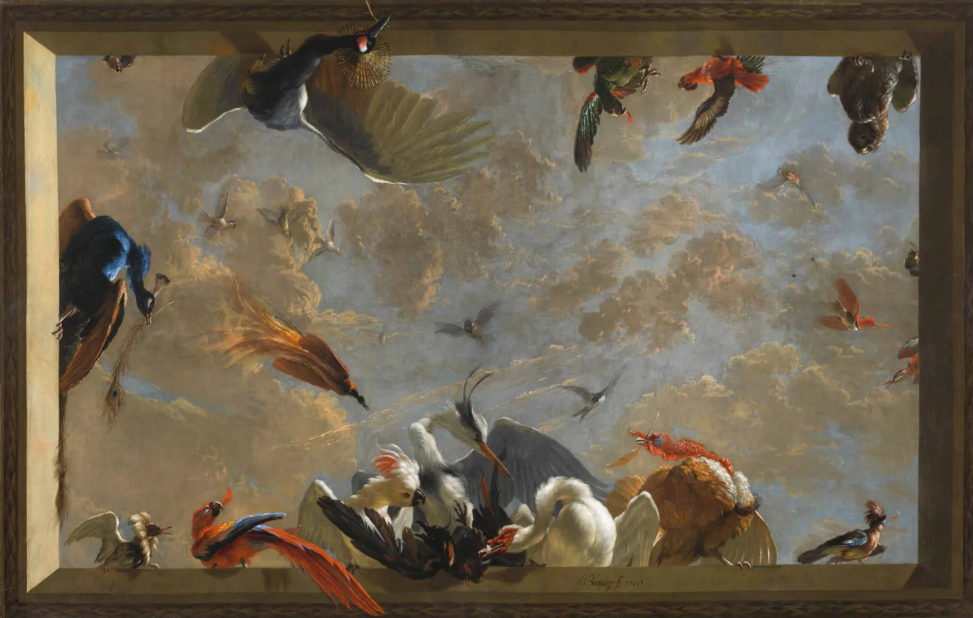 The Raven Robbed of its Feathers