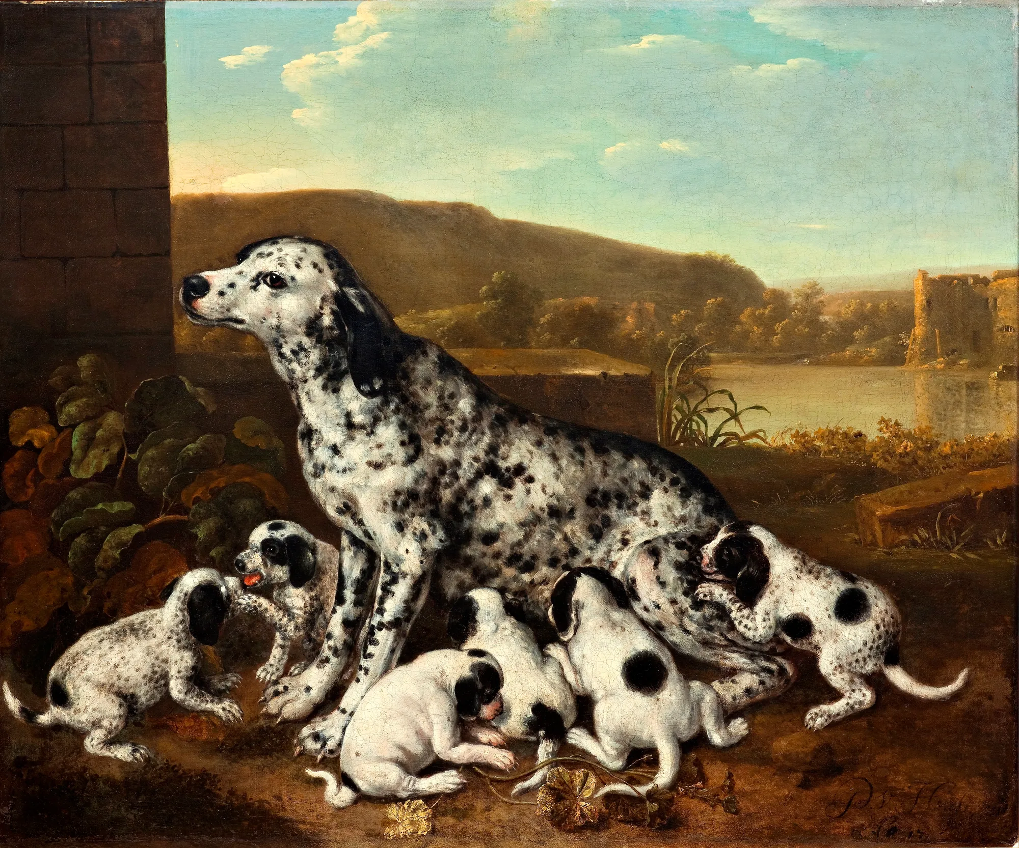 Dalmatian Dog with Puppies