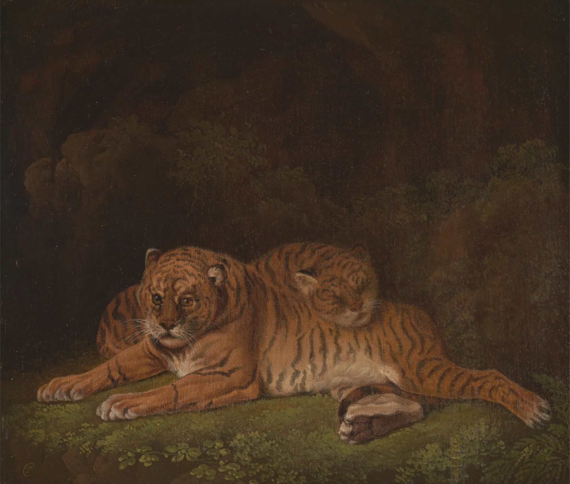 Tigers