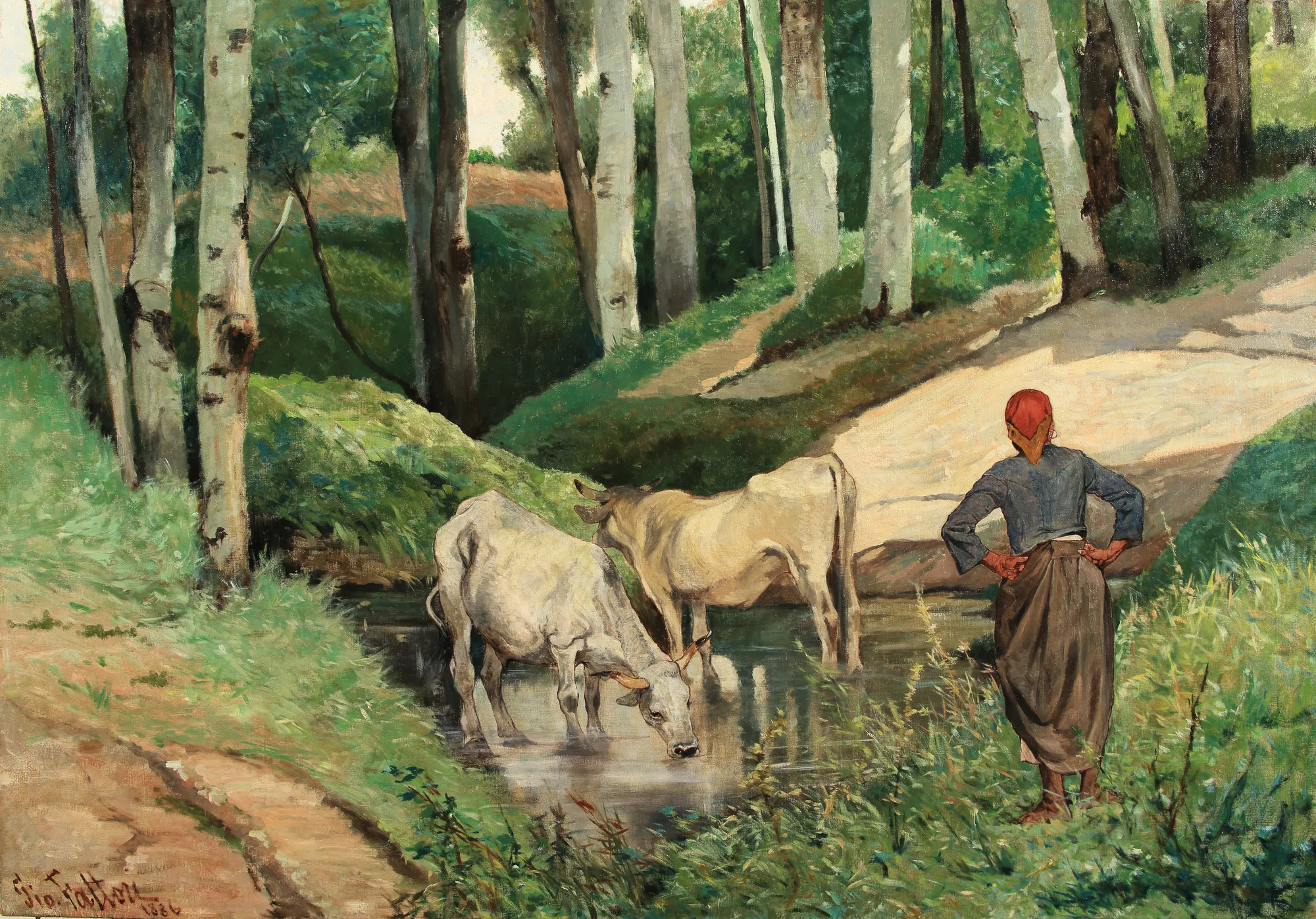 Cattle Watering