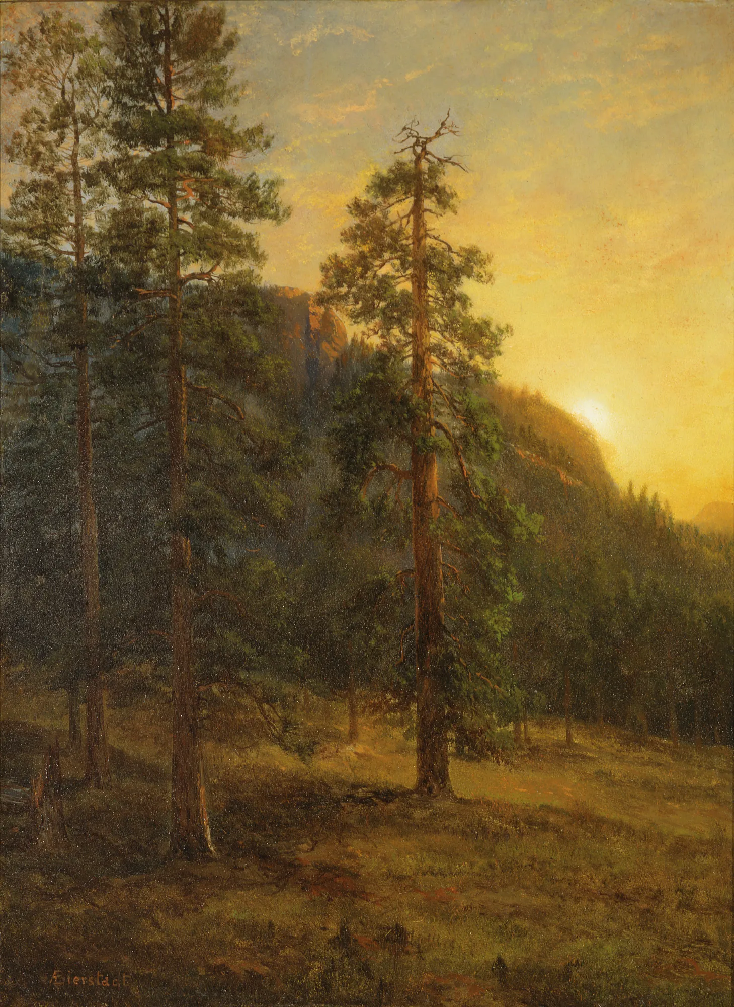 California Redwoods California Redwoods by Albert Bierstadt. A luminous landscape featuring towering redwood trees against a sun-drenched mountain backdrop at dusk.