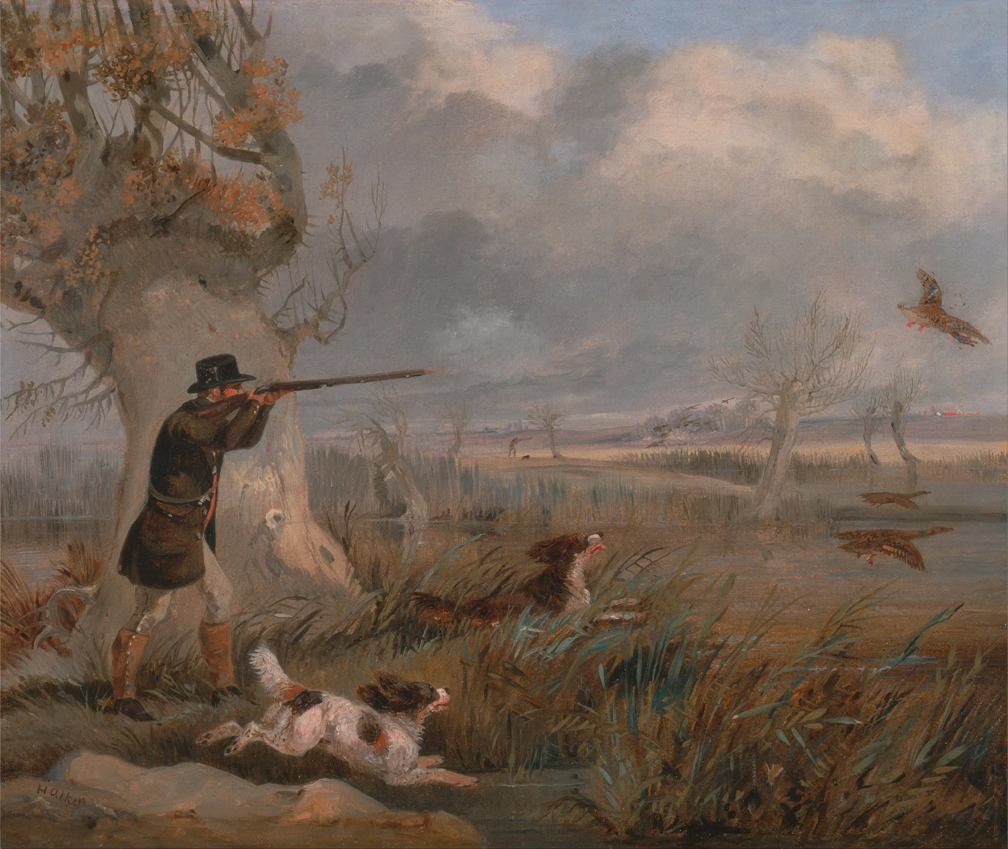 Duck Shooting Duck Shooting by Henry Thomas Alken. A hunter in a top hat aims his rifle at flying ducks in a misty marshland, accompanied by two spaniels in the foreground.