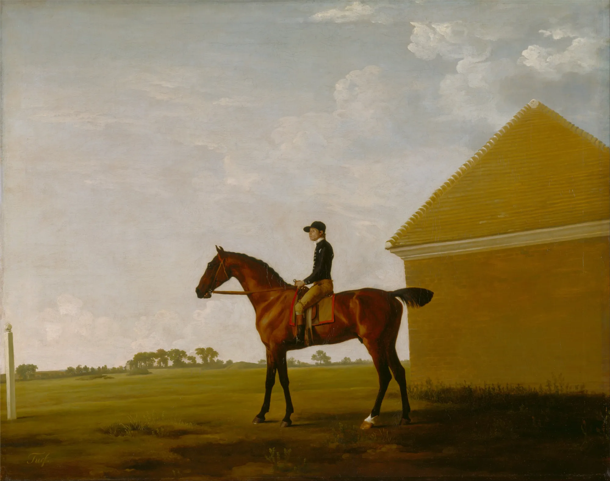 Turf with Jockey at Newmarket