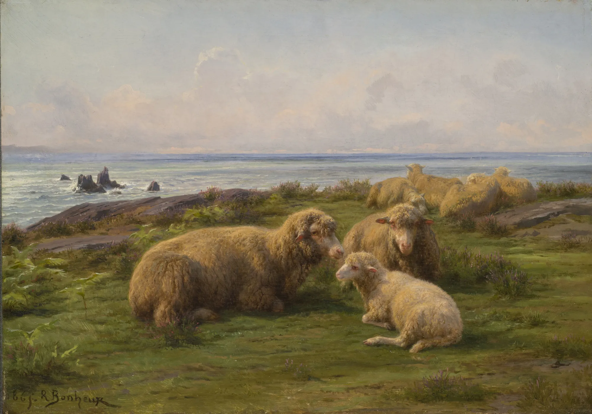 Sheep by the Sea